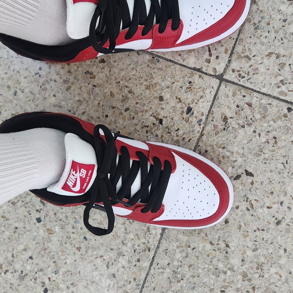 Nike SB Dunk Low Pro Chicago 착용 스타일