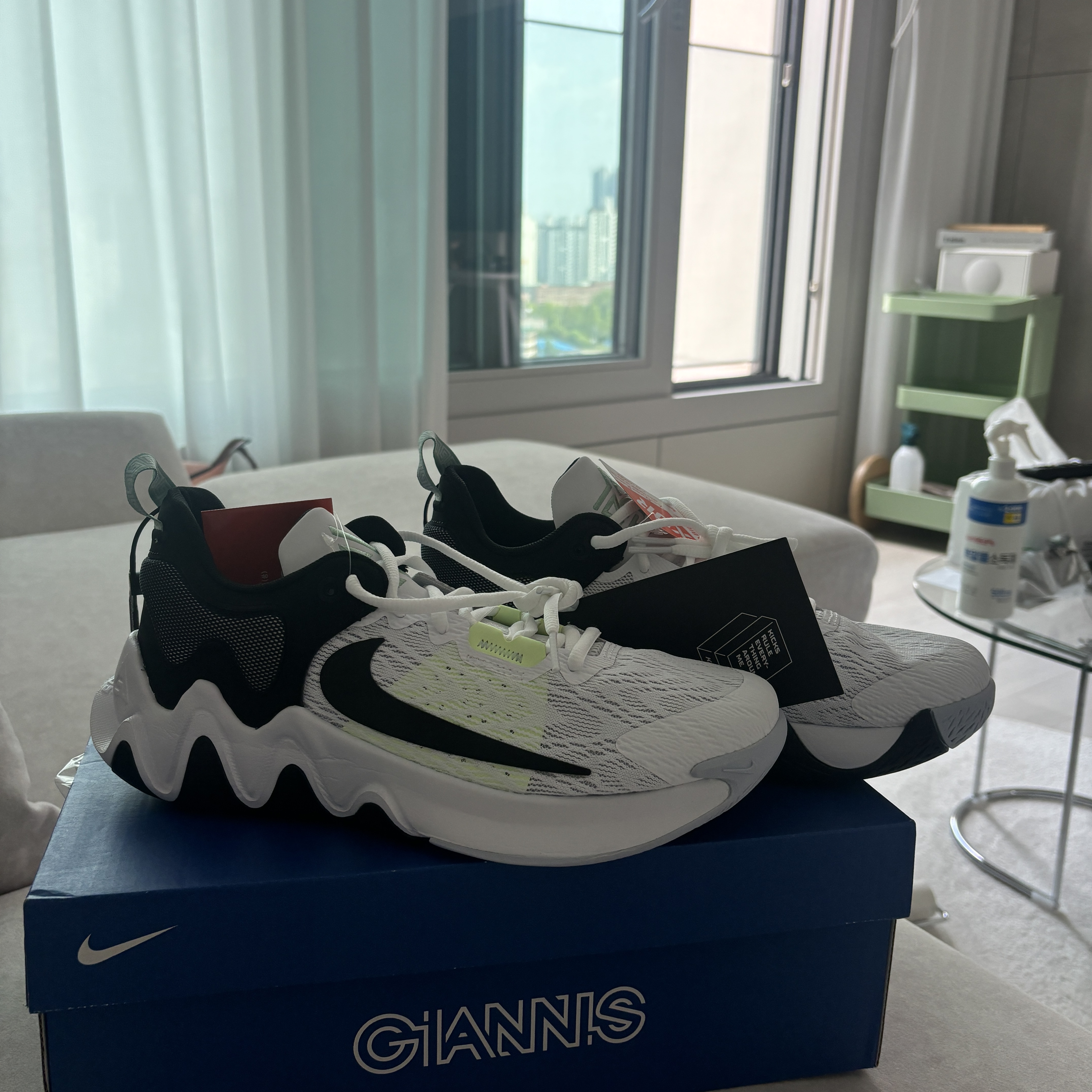 Nike Giannis Immortality 2 EP White Black 착용 스타일
