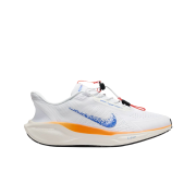 Nike Air Zoom Pegasus EasyOn Blueprint