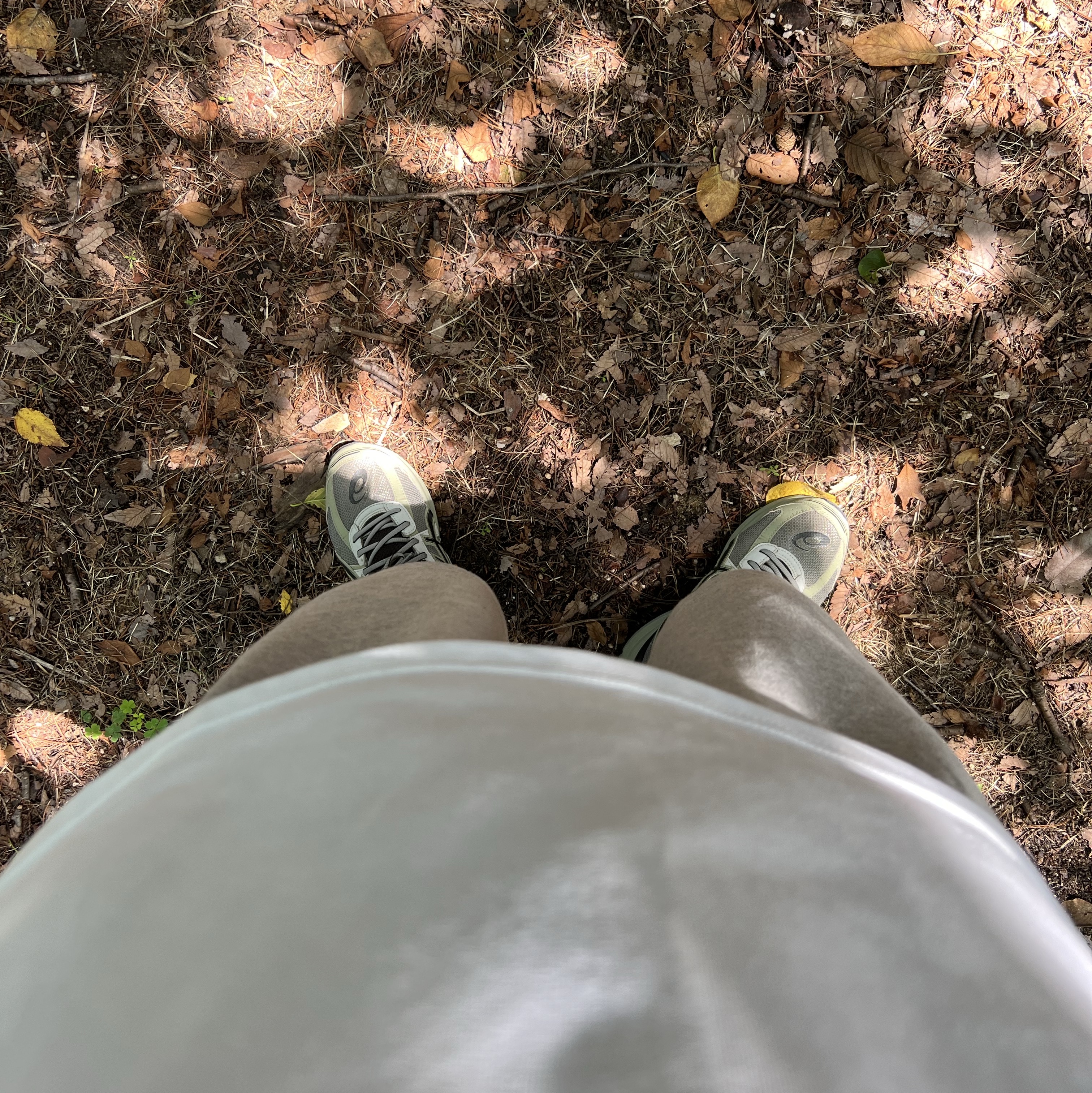 Asics Jog 100 S Sheet Rock - 2E Wide, Nike ACG LBR T-Shirt Summit White - Asia 착용 스타일