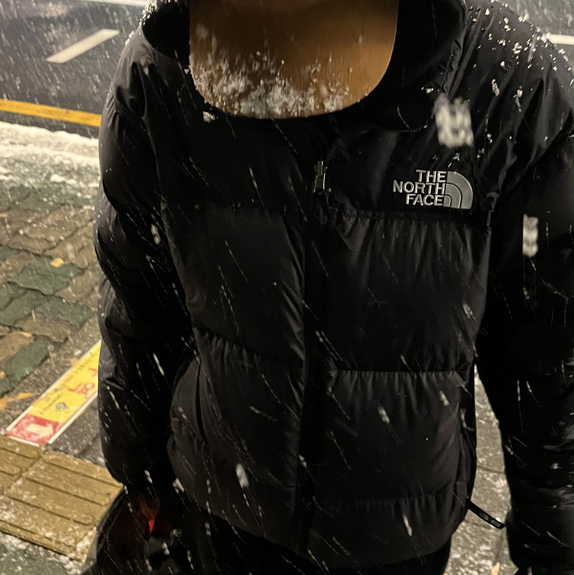 The North Face 1996 Eco Nuptse Jacket Black 착용 스타일