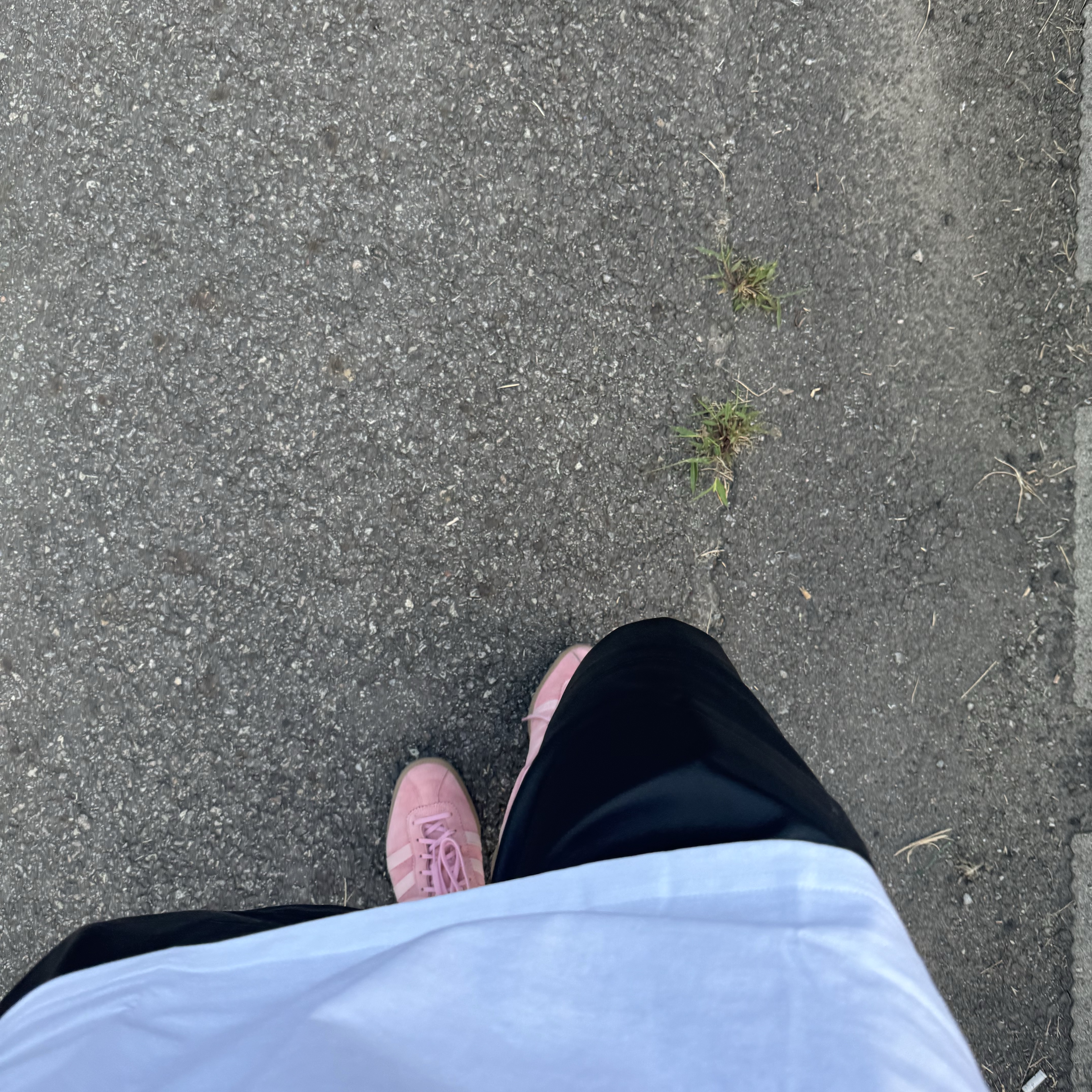 Adidas Bermuda Glow Pink 착용 스타일