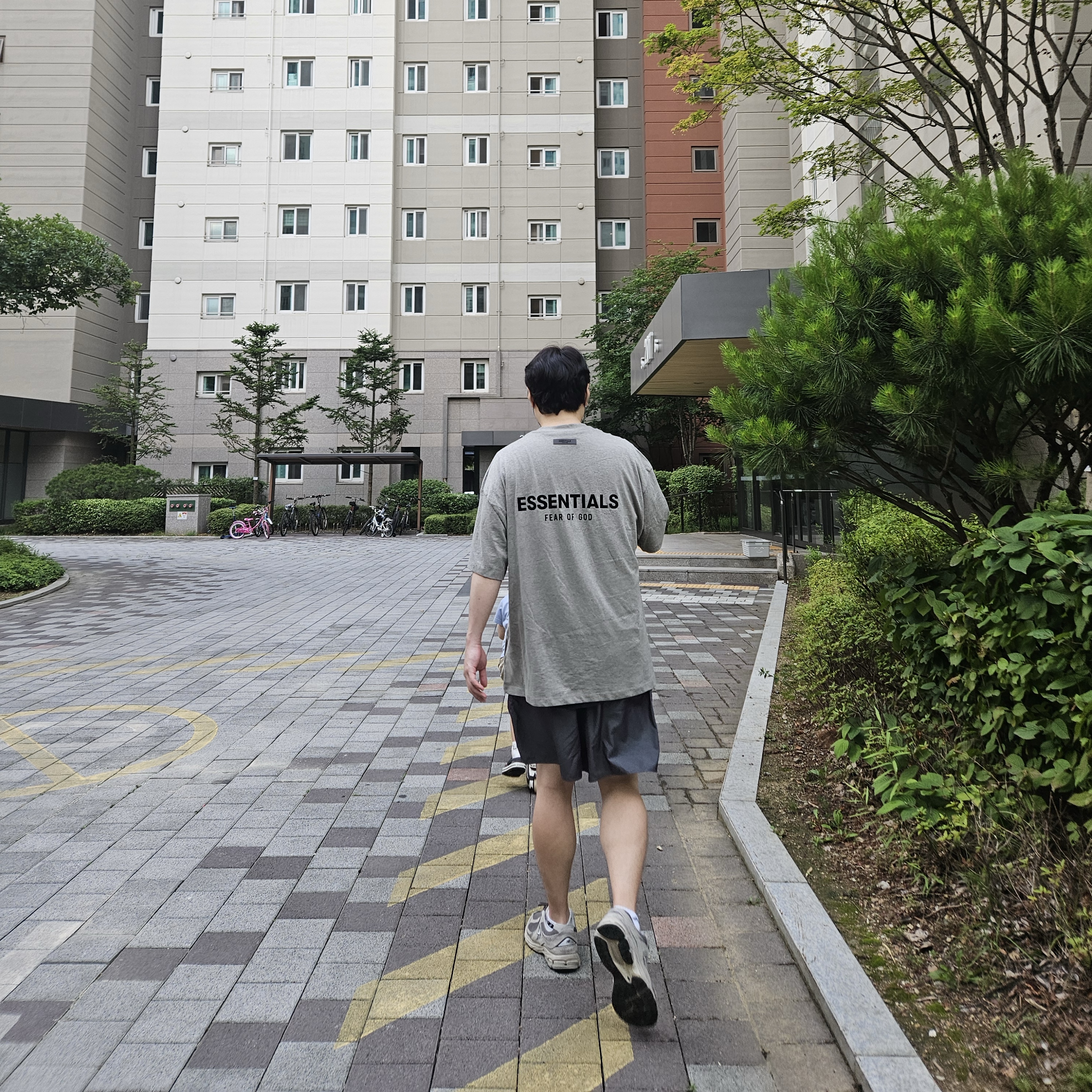 Essentials The Core Collection T-Shirt Dark Oatmeal, Essentials Volley Shorts Iridescent - 20SS 착용 스타일