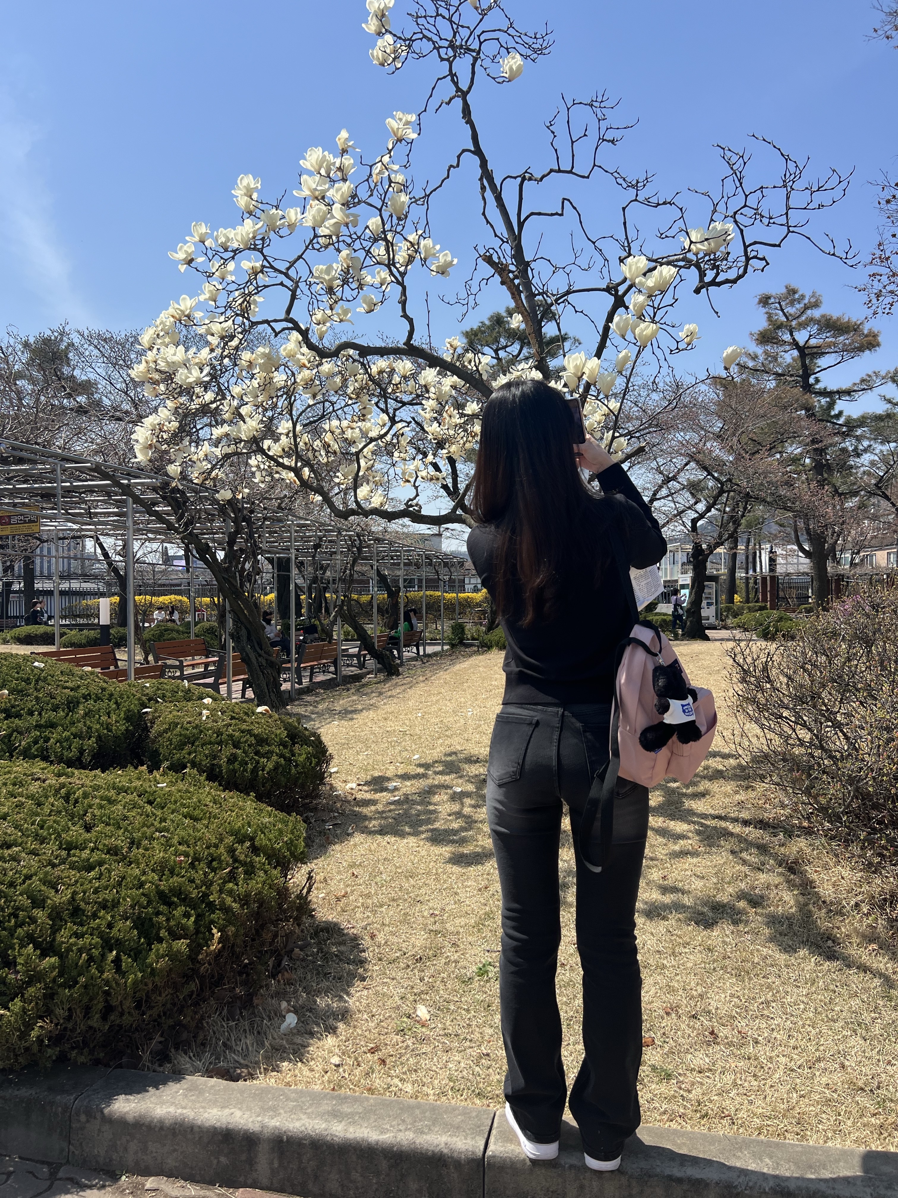 Jansport Half Pint Mini Backpack Misty Rose, (GS) Nike Air Force 1 LE White 착용 스타일