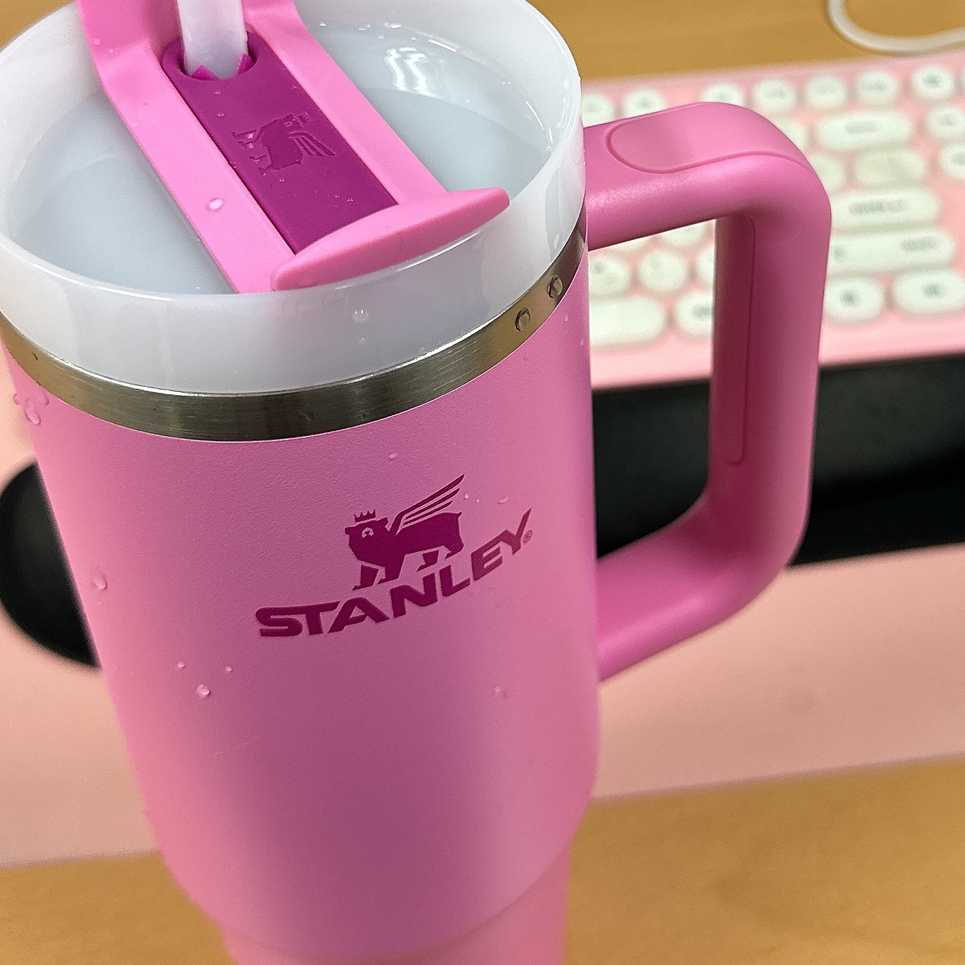 Stanley The Quencher H2.0 Flowstate Tumbler 887ml Peony, (W) Hoka Ora Recovery Flip Black Dark Gull Grey 착용 스타일 - 4