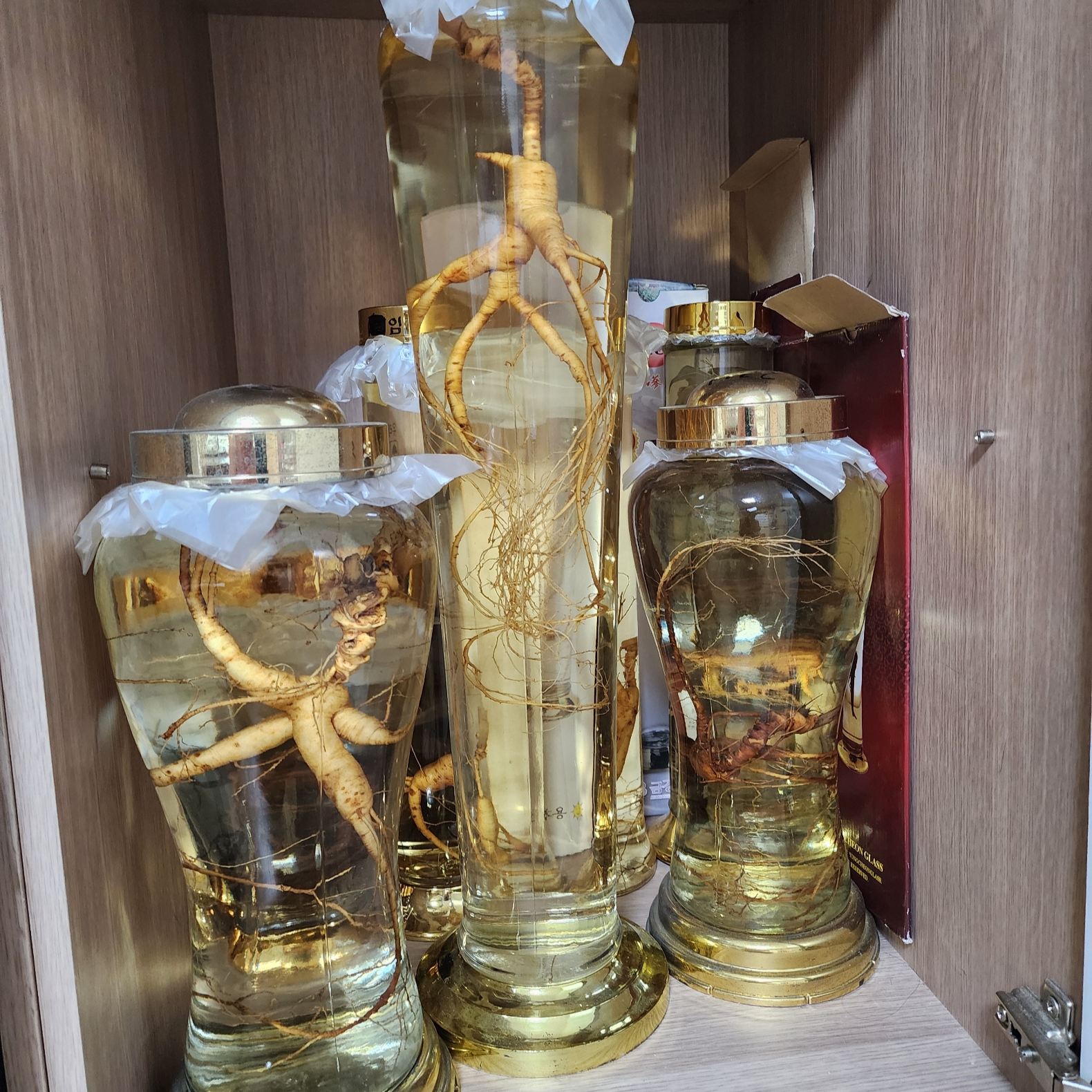 속리원빈님의 스타일 - 1