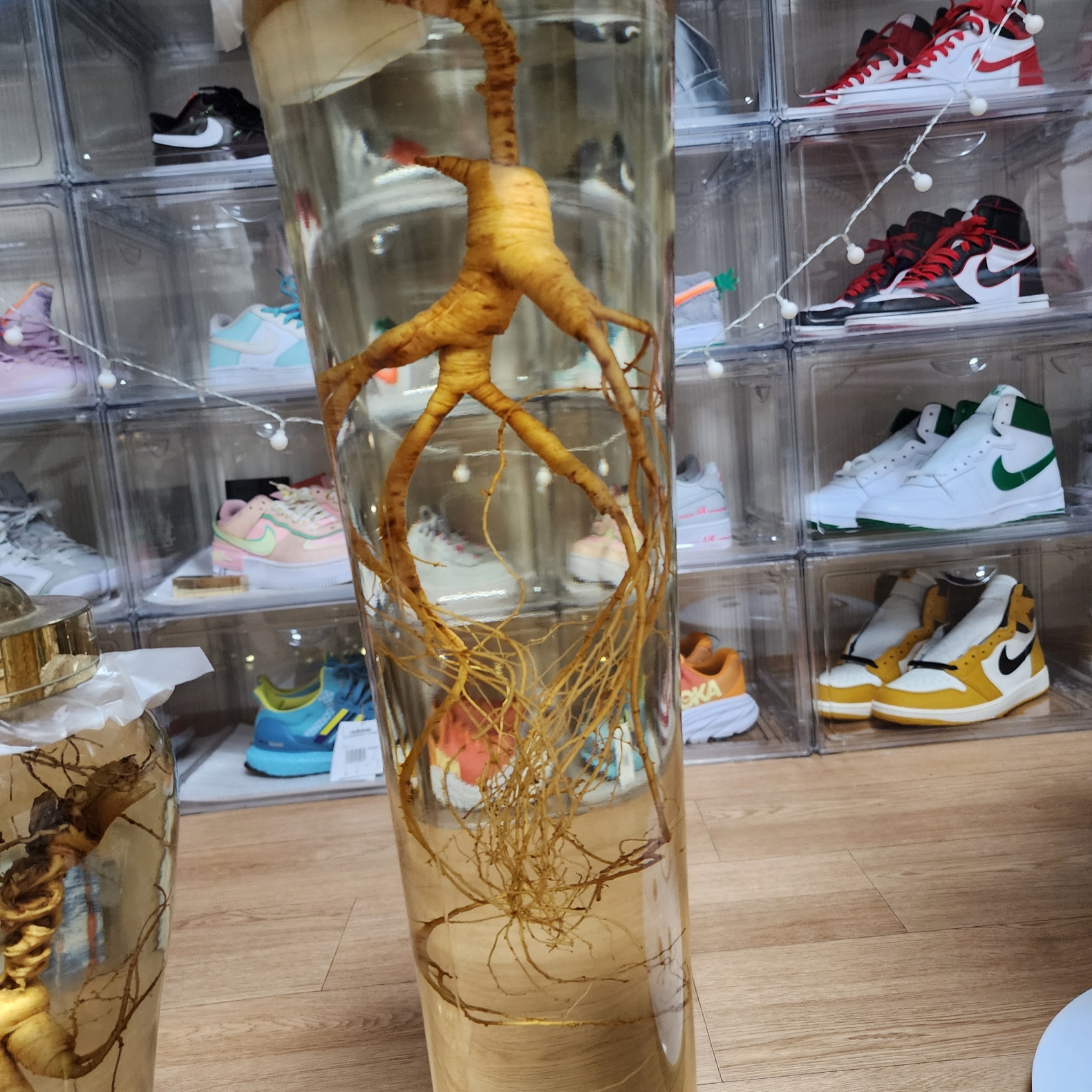 속리원빈님의 스타일 - 5