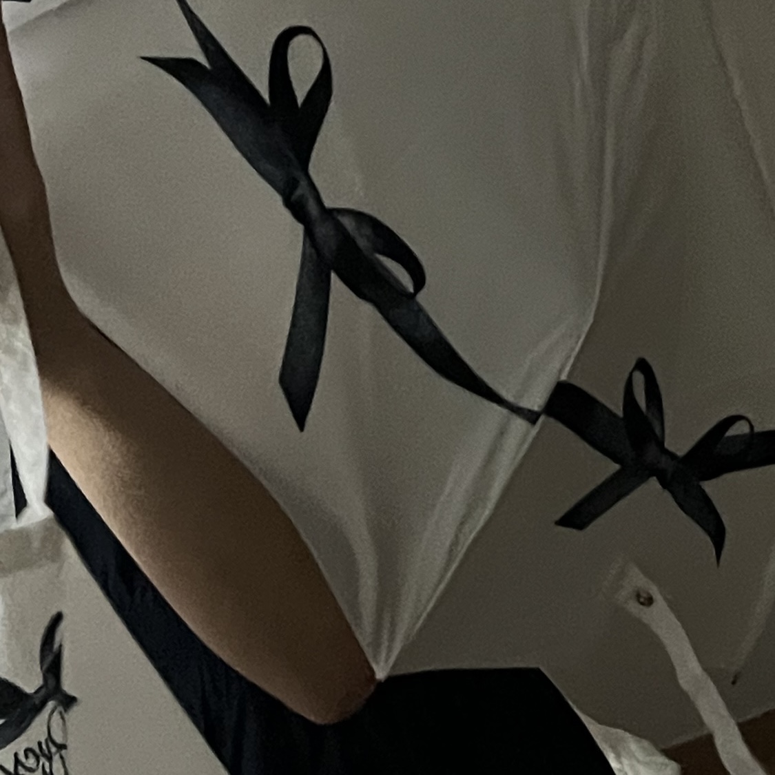 [KREAM 단독] PVCS x Bloomingtale Ribbon Point Folding Umbrella+Eco Bag Cover 착용 스타일