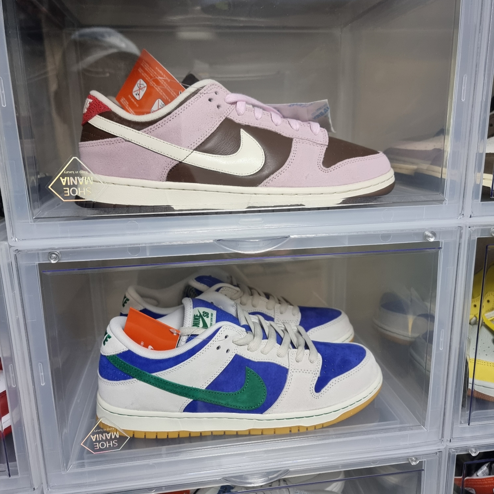 (W) Nike Dunk Low Cacao Wow and Pink Foam 착용 스타일