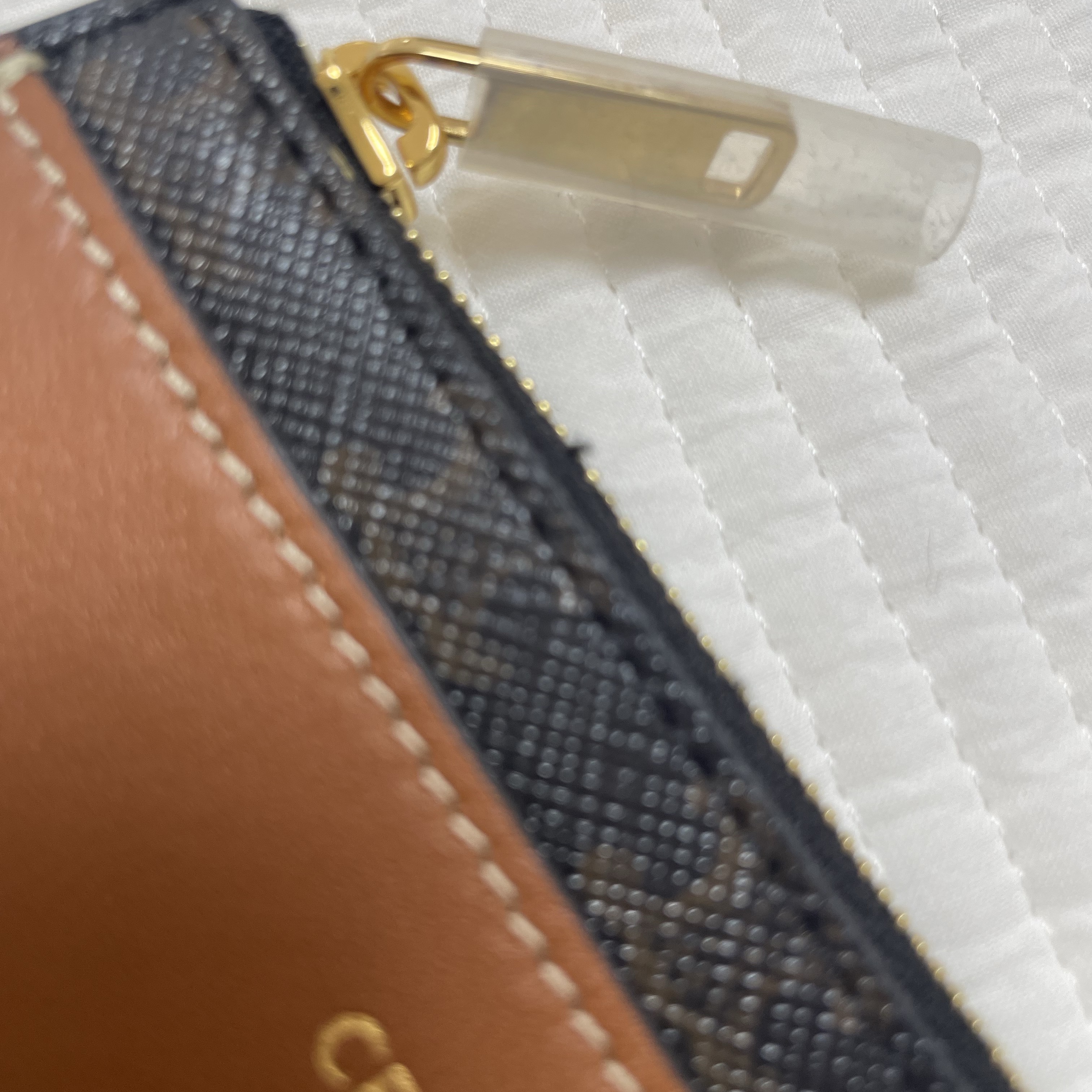 Celine Zipped Card Holder in Triomphe Canvas and Lambskin Tan 착용 스타일 - 4