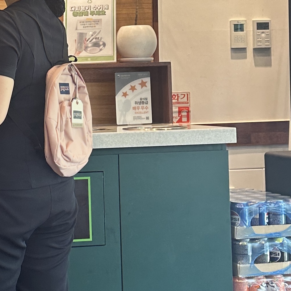 Jansport Half Pint Mini Backpack Misty Rose 착용 스타일
