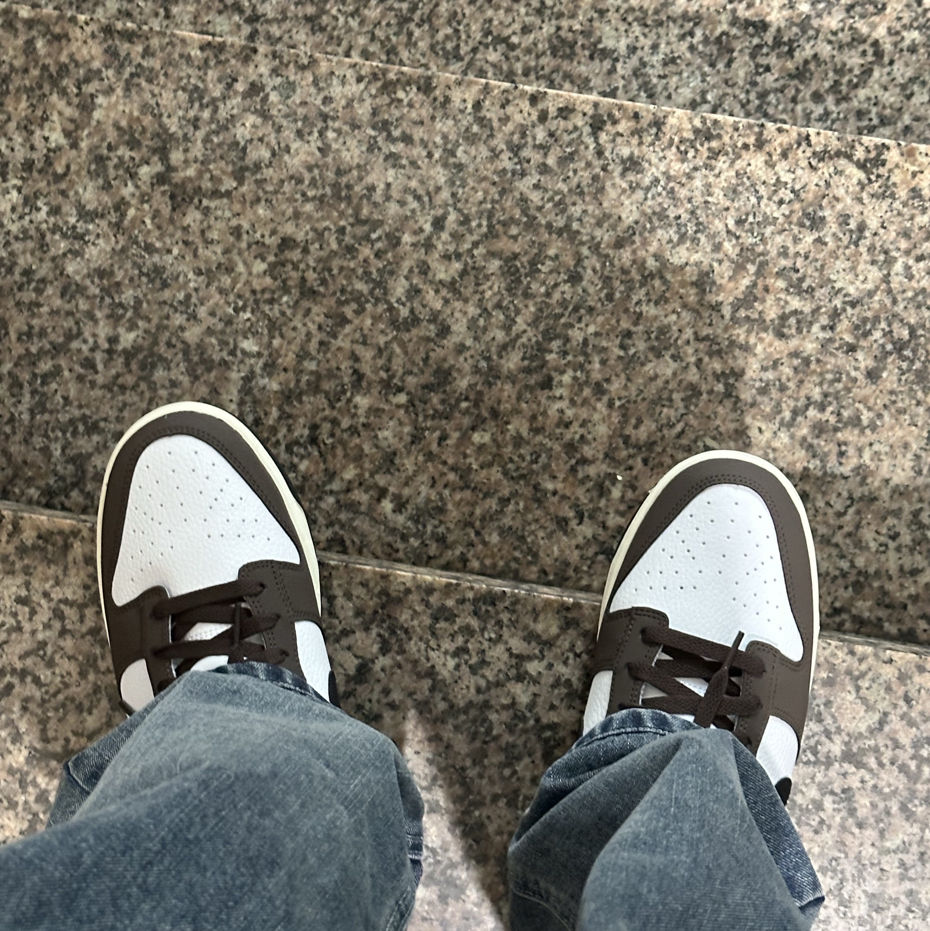 Nike Dunk Low Retro Next Nature Baroque Brown White 착용 스타일