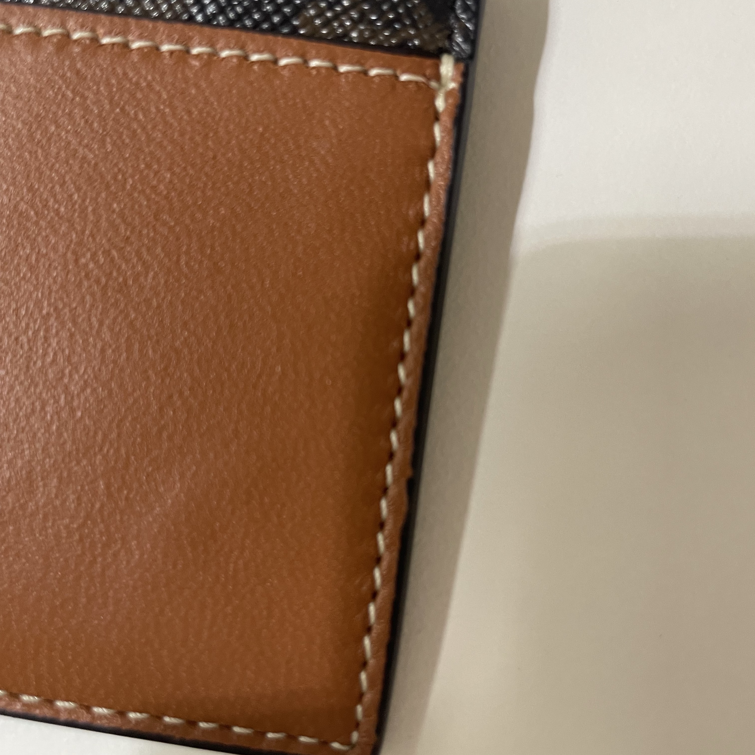 Celine Zipped Card Holder in Triomphe Canvas and Lambskin Tan 착용 스타일 - 2