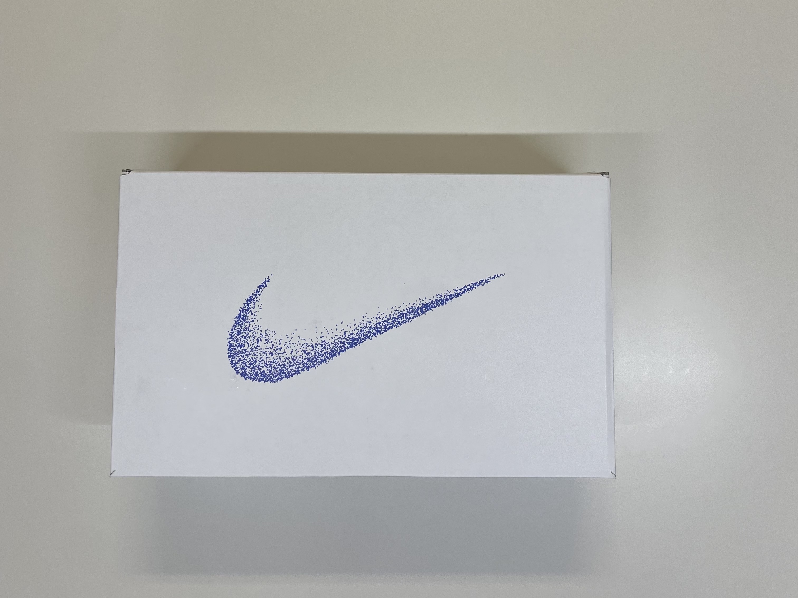 Nike Air Zoom Pegasus EasyOn Blueprint 착용 스타일 - 1