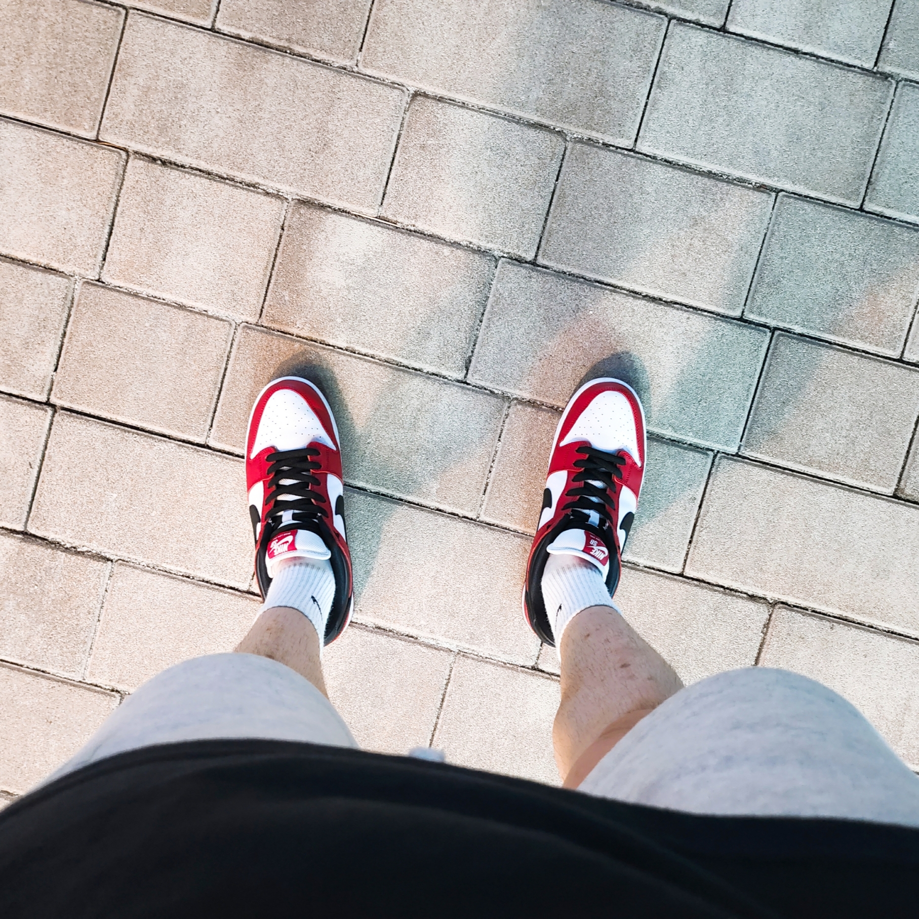 Nike SB Dunk Low Pro Chicago, Essentials 1977 Shorts Light Oatmeal - 22SS 착용 스타일 - 1