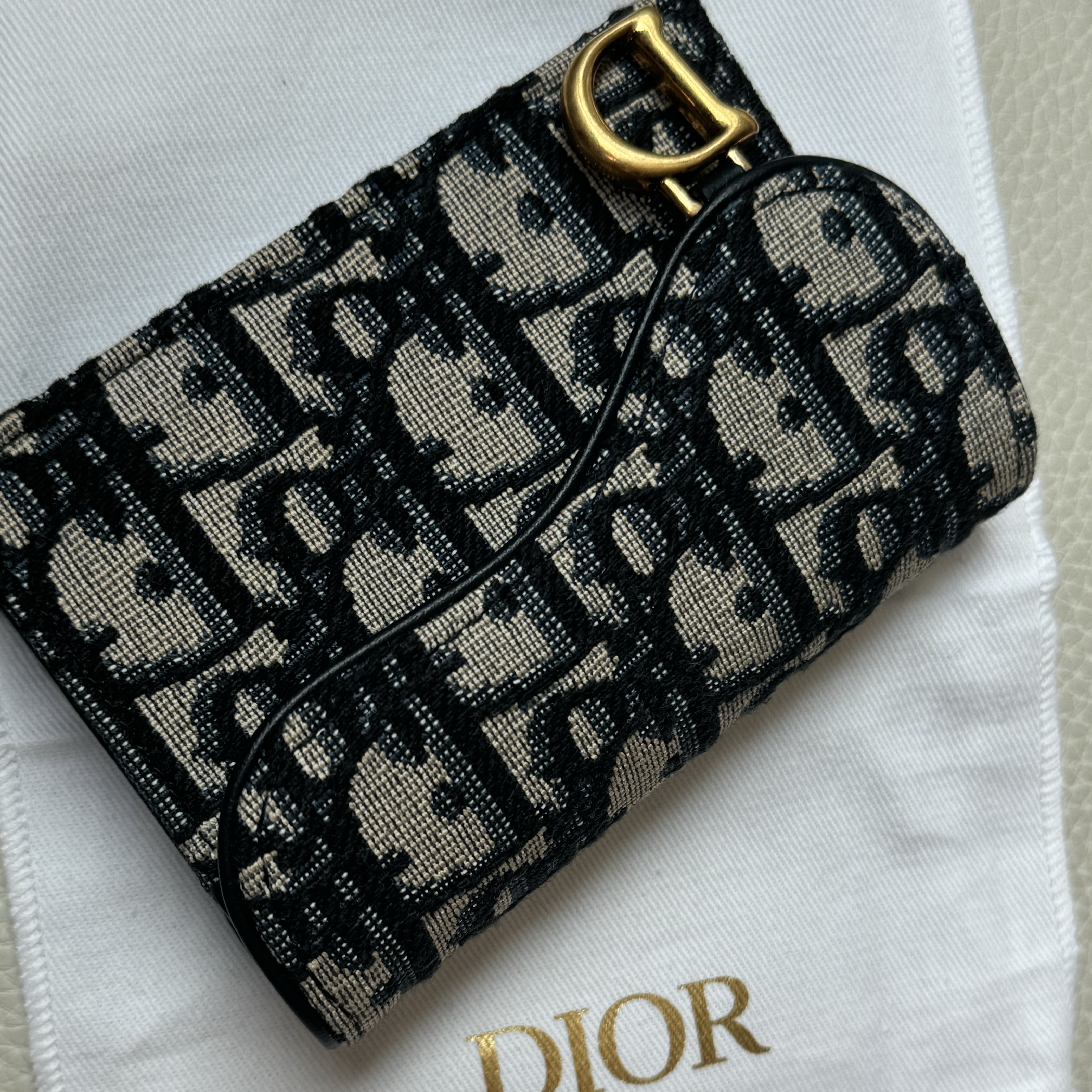 Dior Saddle Flap Card Holder Blue Dior Oblique Jacquard 착용 스타일 - 2