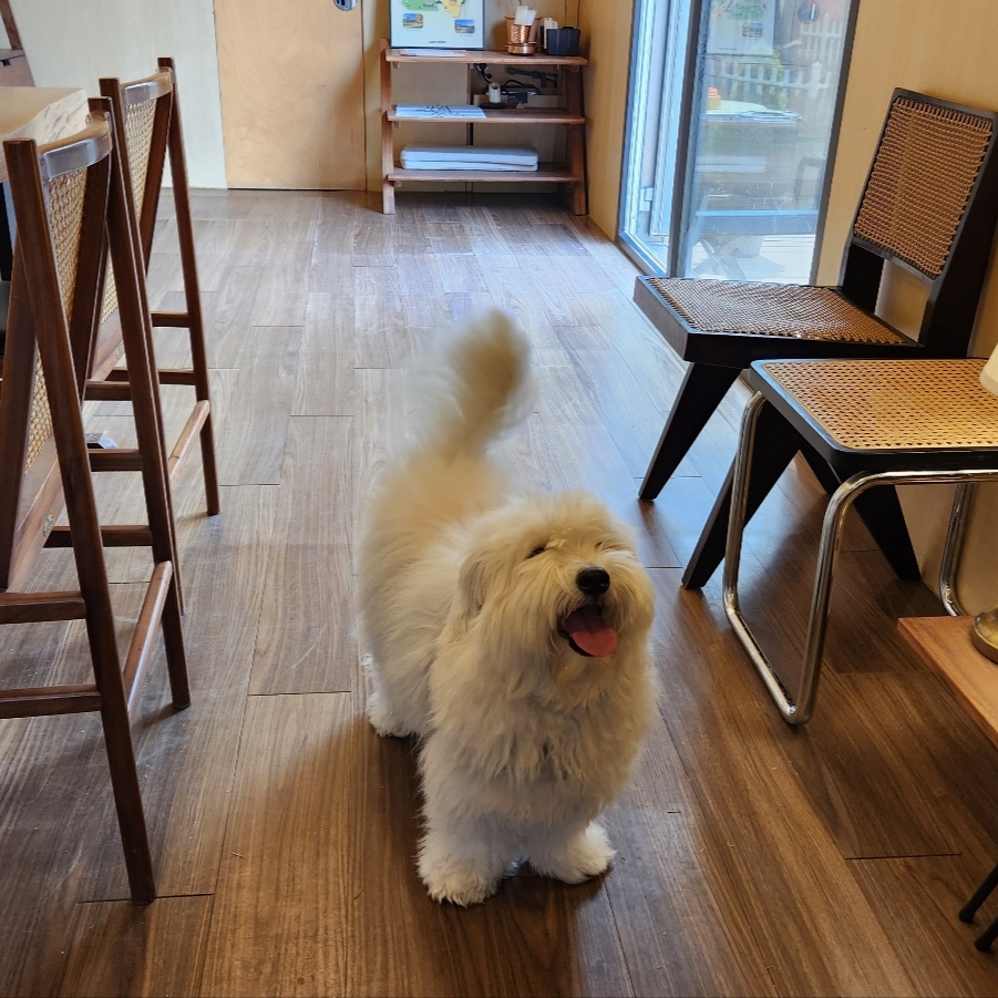김영삼님의 스타일