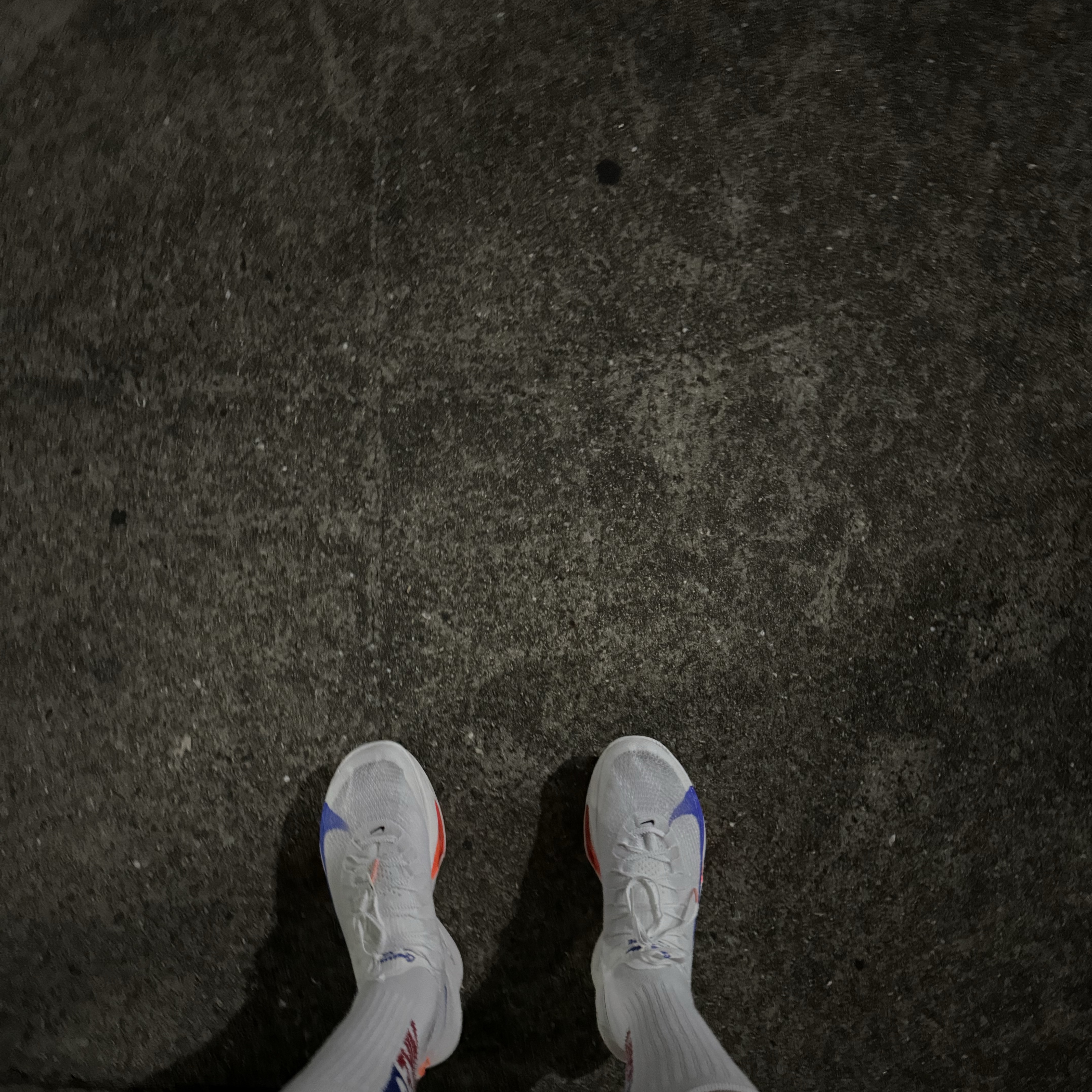 Nike Air Zoom Alphafly Next% 3 Blueprint 착용 스타일