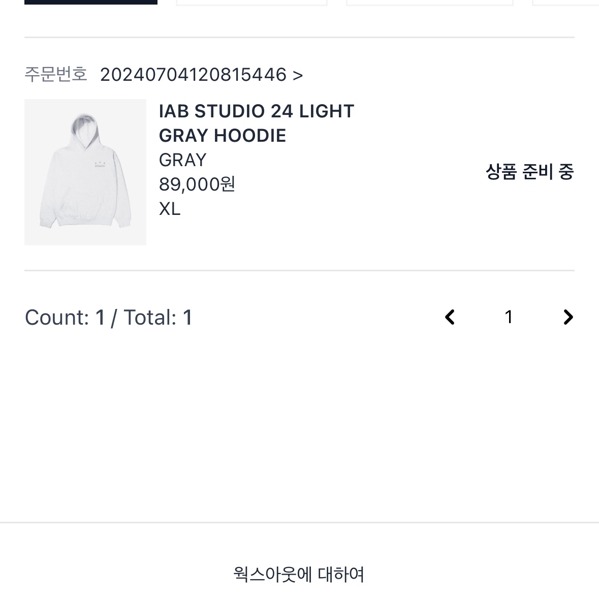 IAB Studio Hoodie Light Gray 착용 스타일