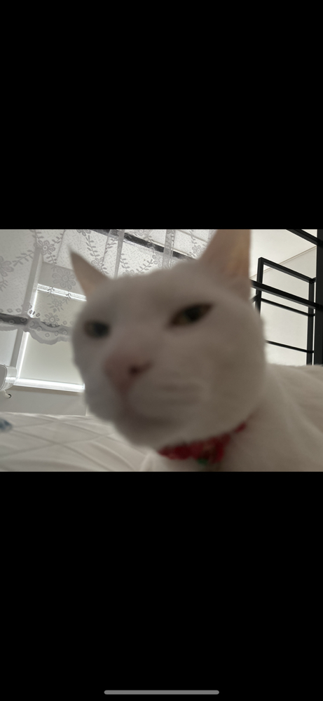 관심 유저 프로필 이미지