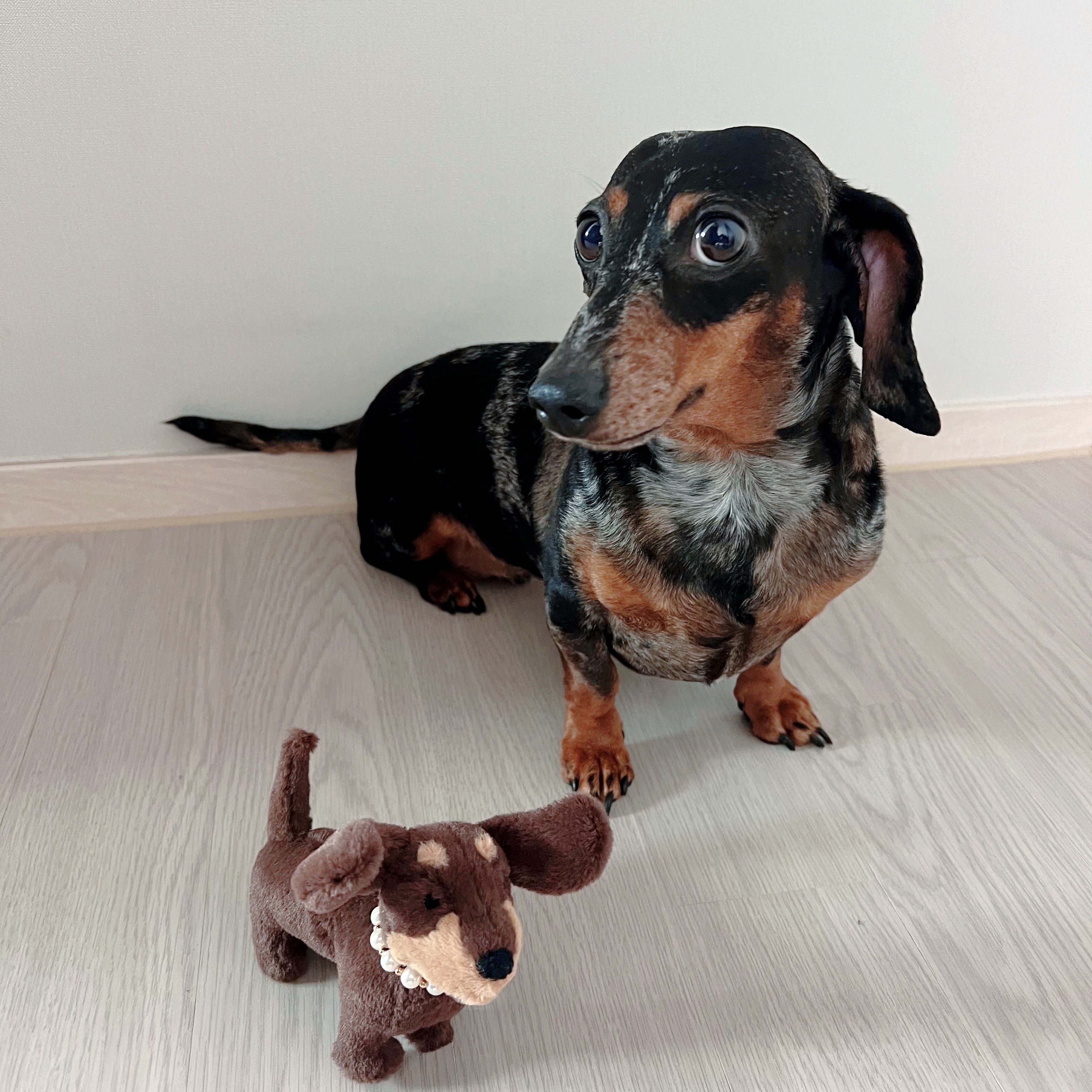 Jellycat Otto Sausage Dog Bag Charm Brown 착용 스타일