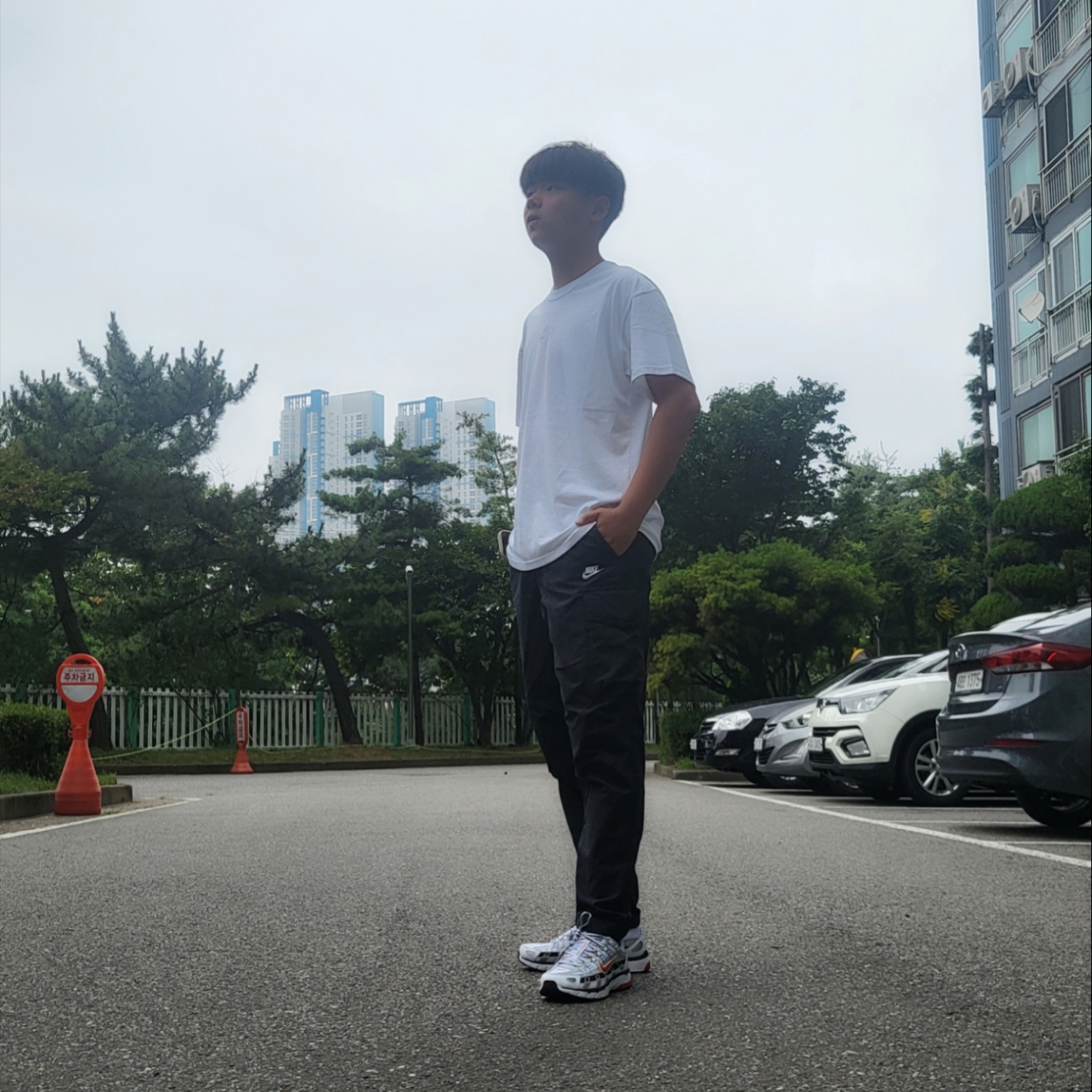 (W) Nike P-6000 Metallic Silver Red 착용 스타일