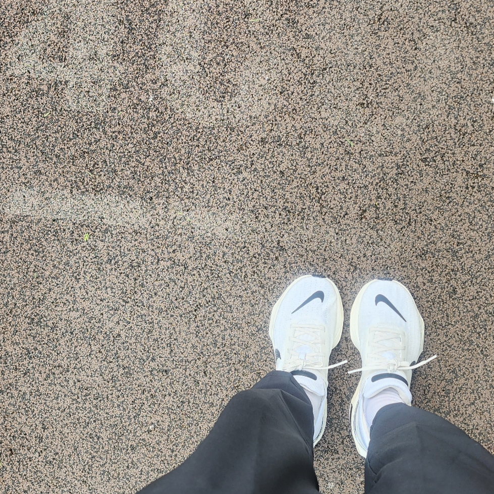 (W) Nike ZoomX Invincible Run Flyknit 3 Summit White Sail 착용 스타일