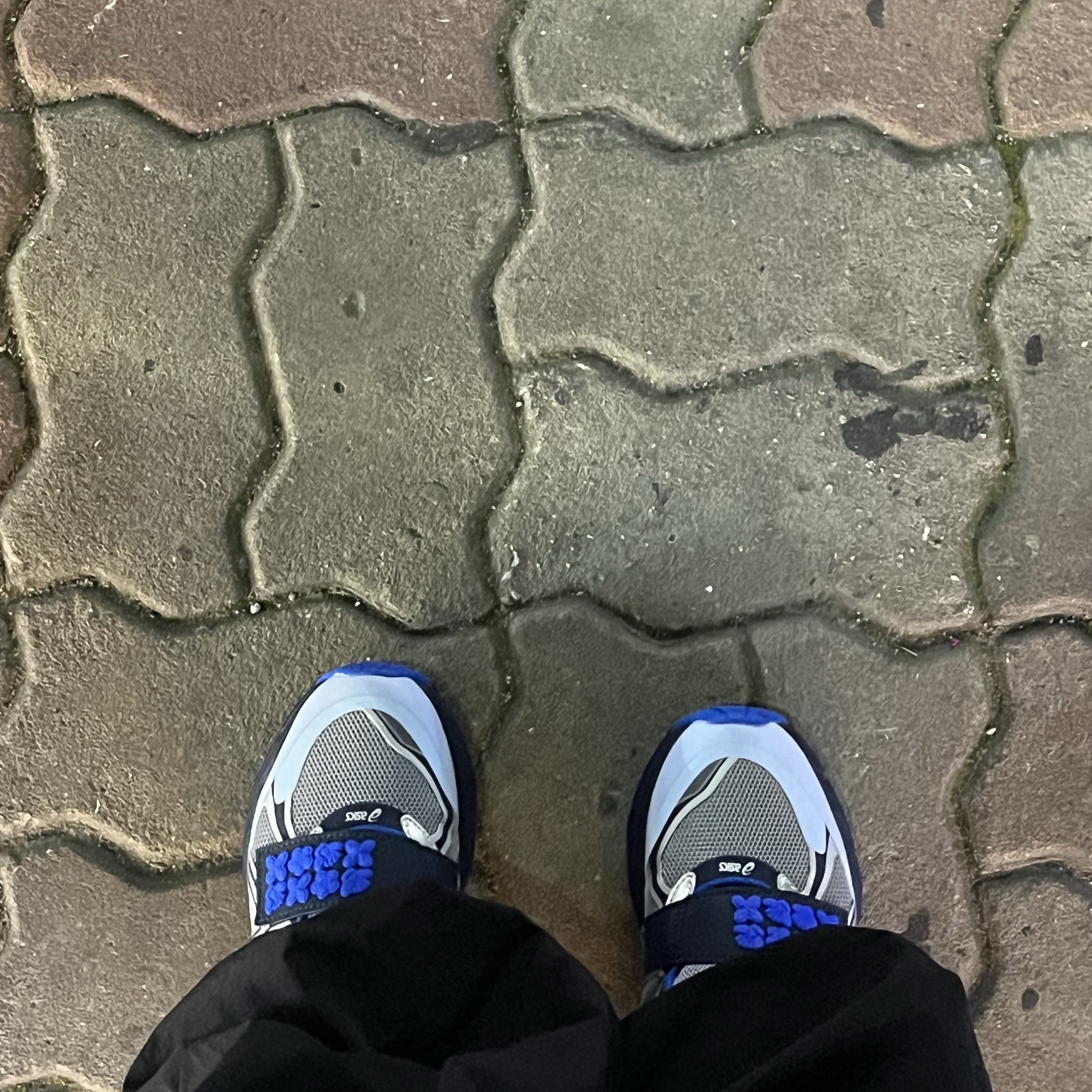 Asics x Cecilie Bahnsen GT-2160 Pure Silver Midnight 착용 스타일