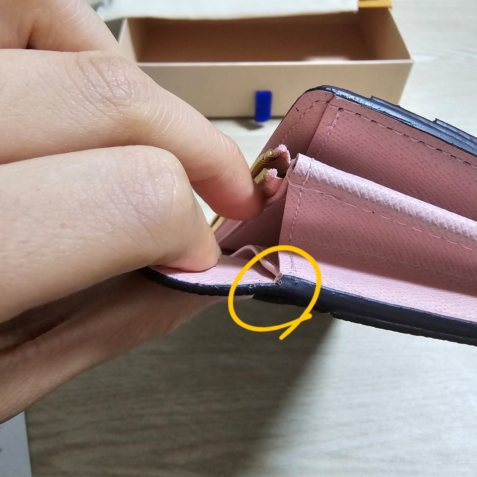 Louis Vuitton Sarah Wallet Monogram Rose Ballerine 착용 스타일 - 2