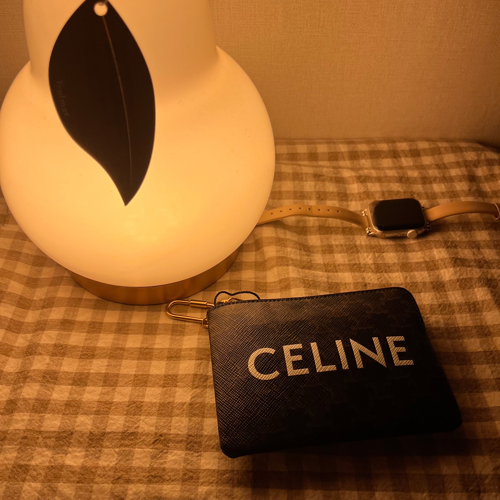Celine Coin & Card Pouch in Triomphe Canvas Black 착용 스타일