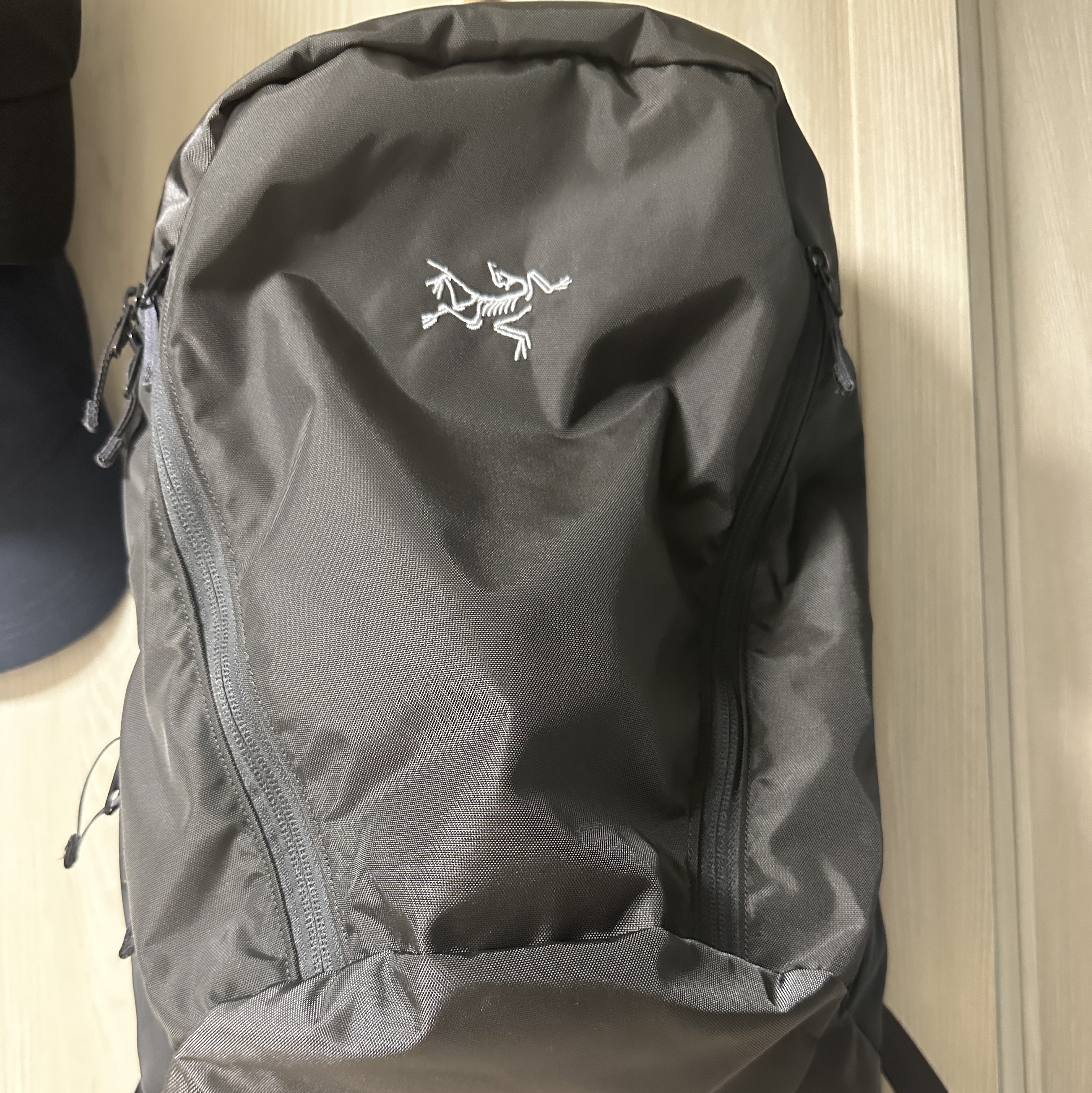 Arc'teryx Mantis 26 Backpack Pilot 착용 스타일
