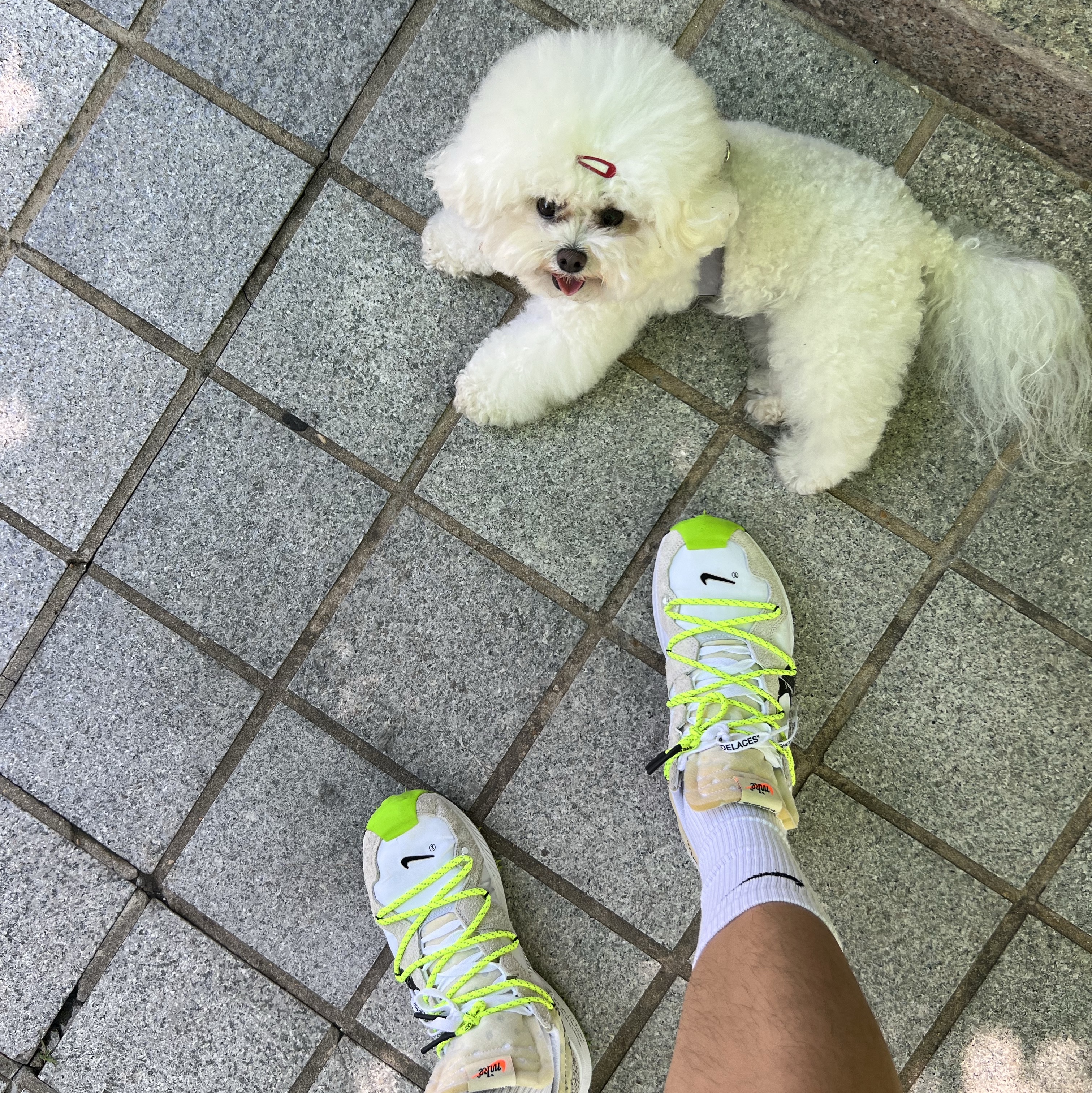 (W) Nike x Off-White Zoom Terra Kiger 5 White 착용 스타일 - 3