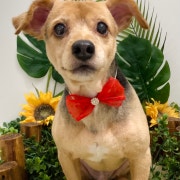 KREAM ํ๋กํ ์ด๋ฏธ์ง