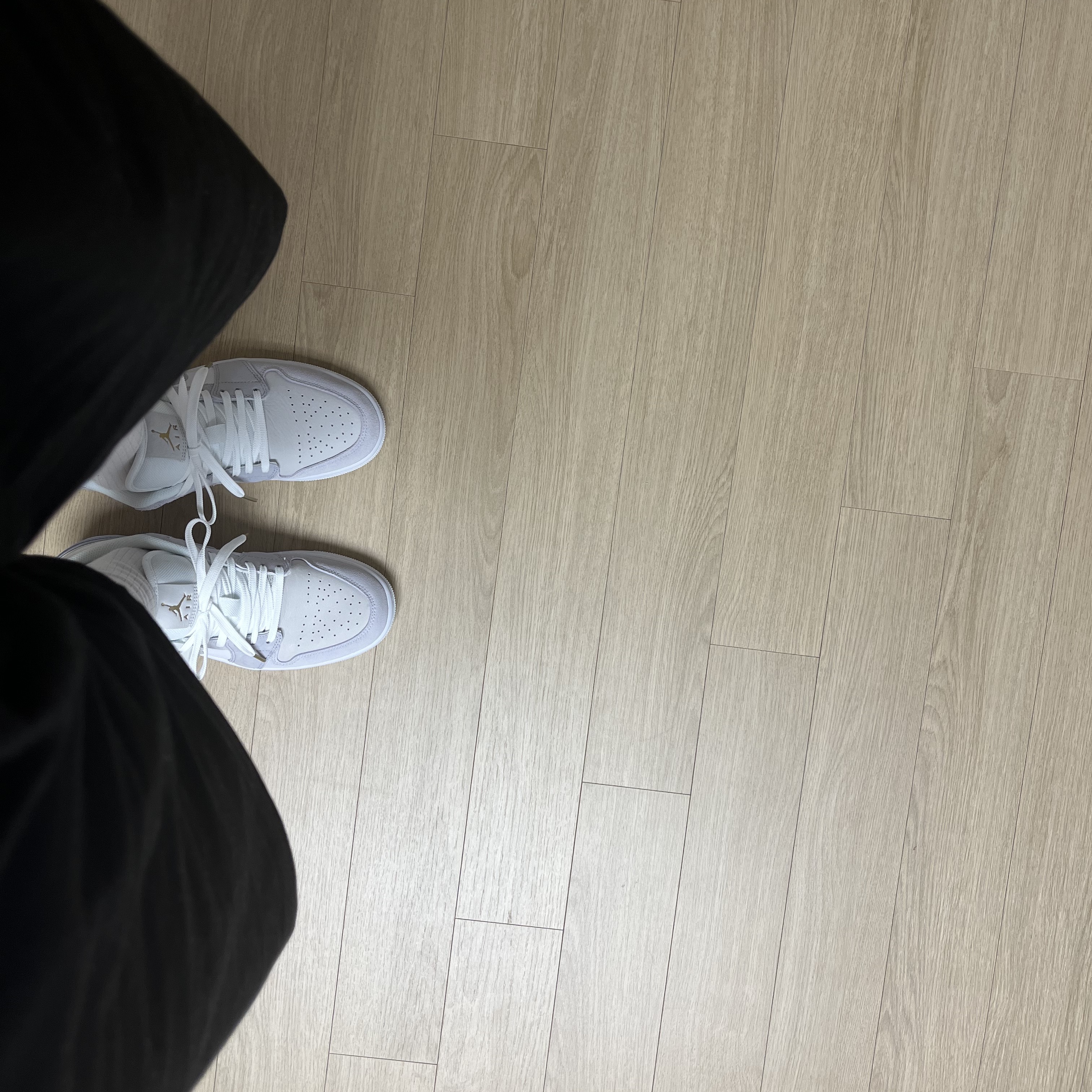 Jordan 1 Low Paris 착용 스타일