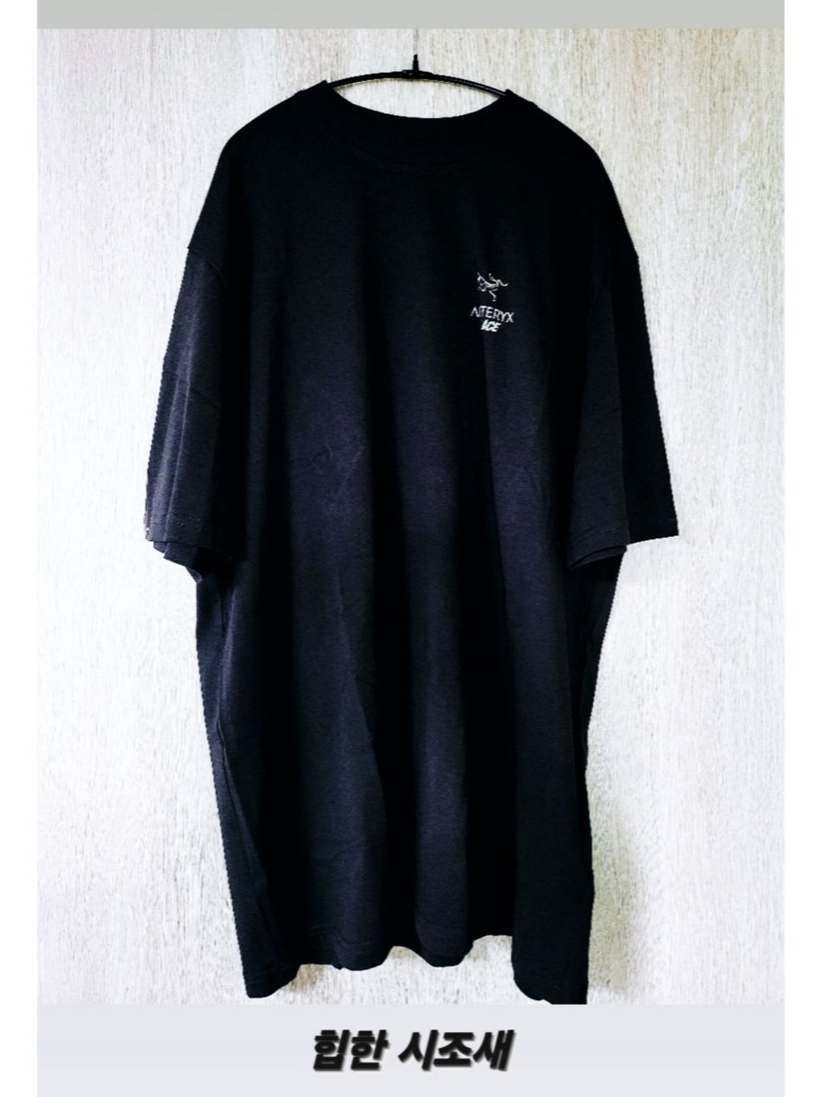 Palace x Arc'teryx T-Shirt Black - 20FW μ°©μ© μ€νμΌ - 2