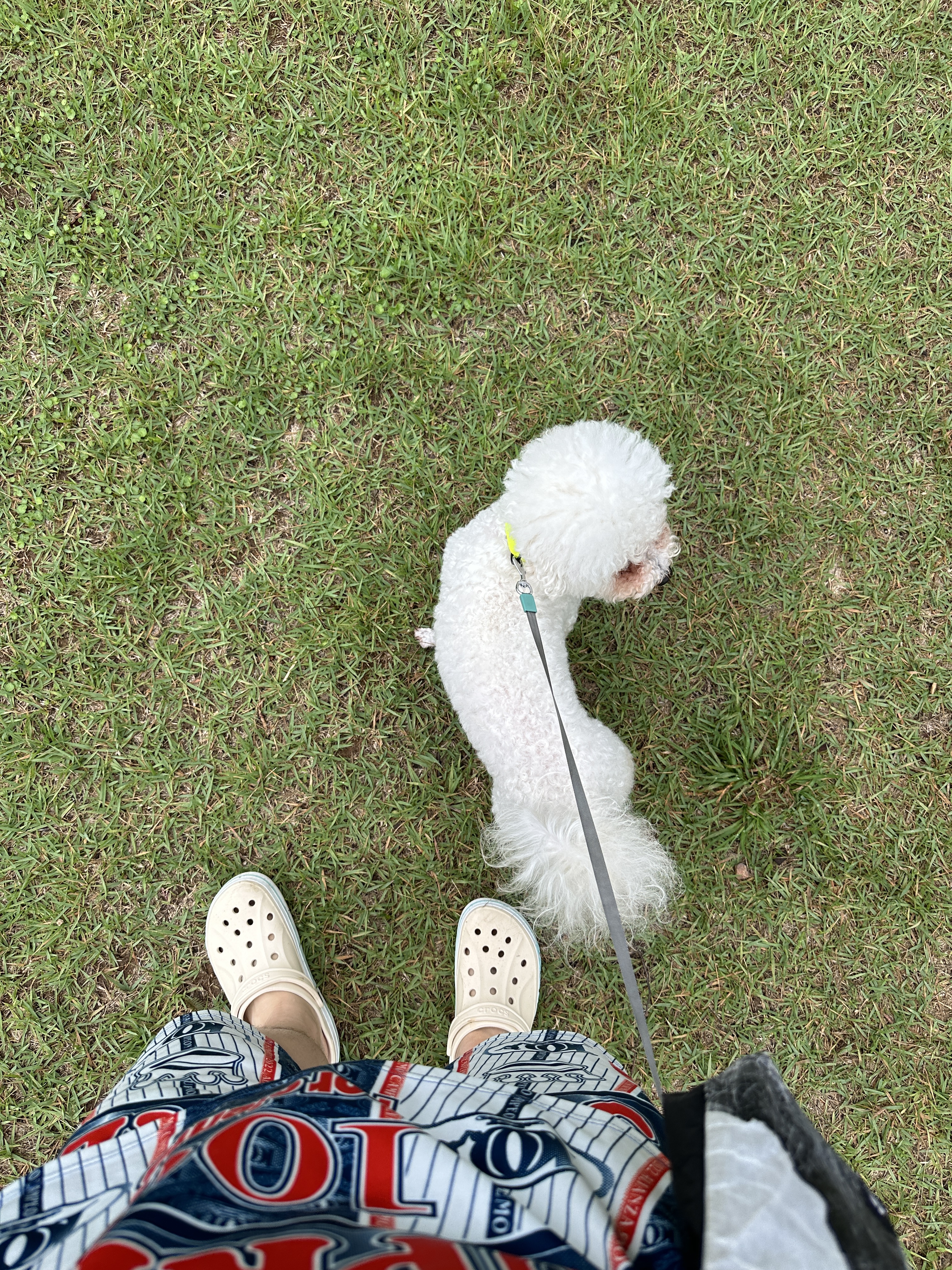 너구리님의 스타일
