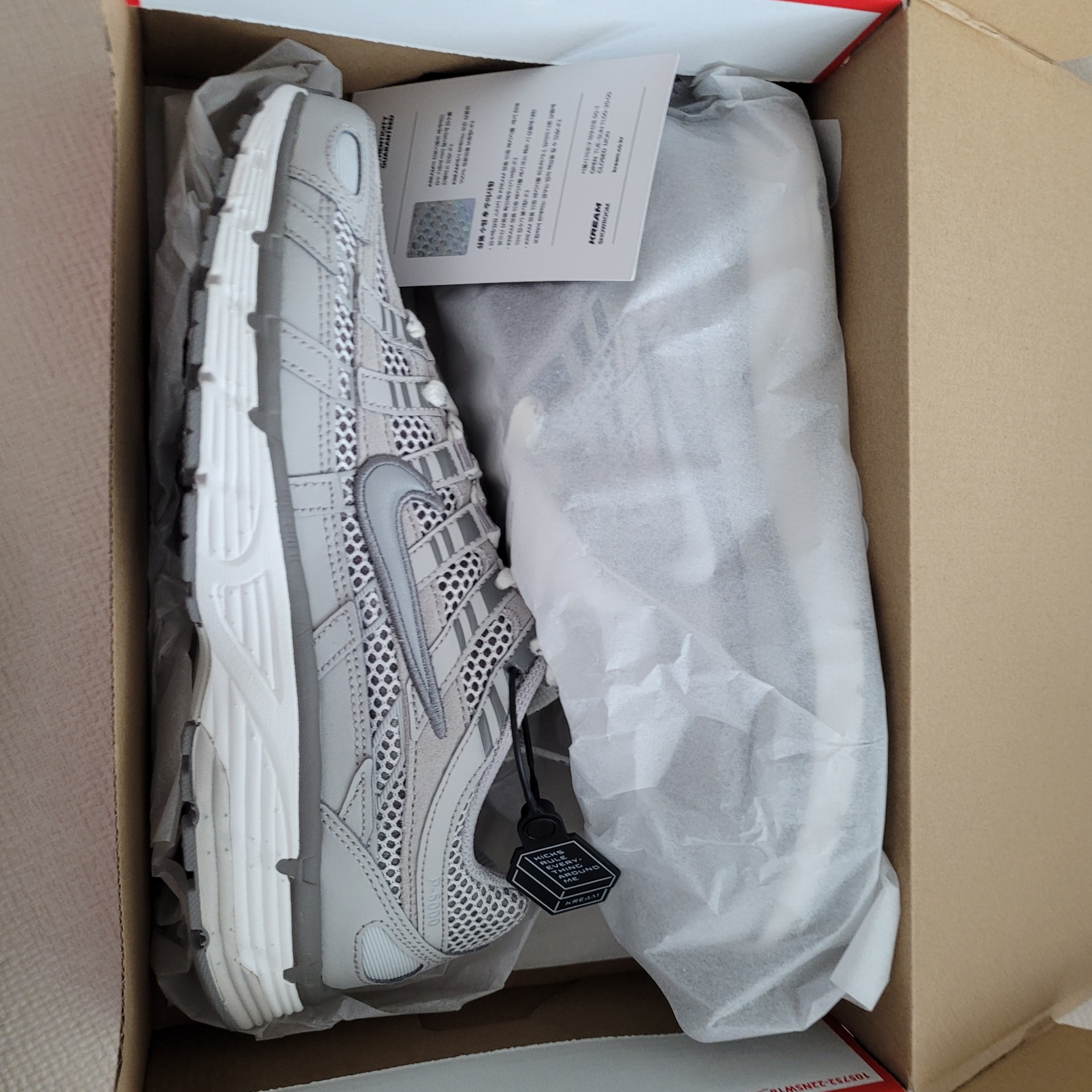 Nike P-6000 PRM Light Iron Ore 착용 스타일 - 1