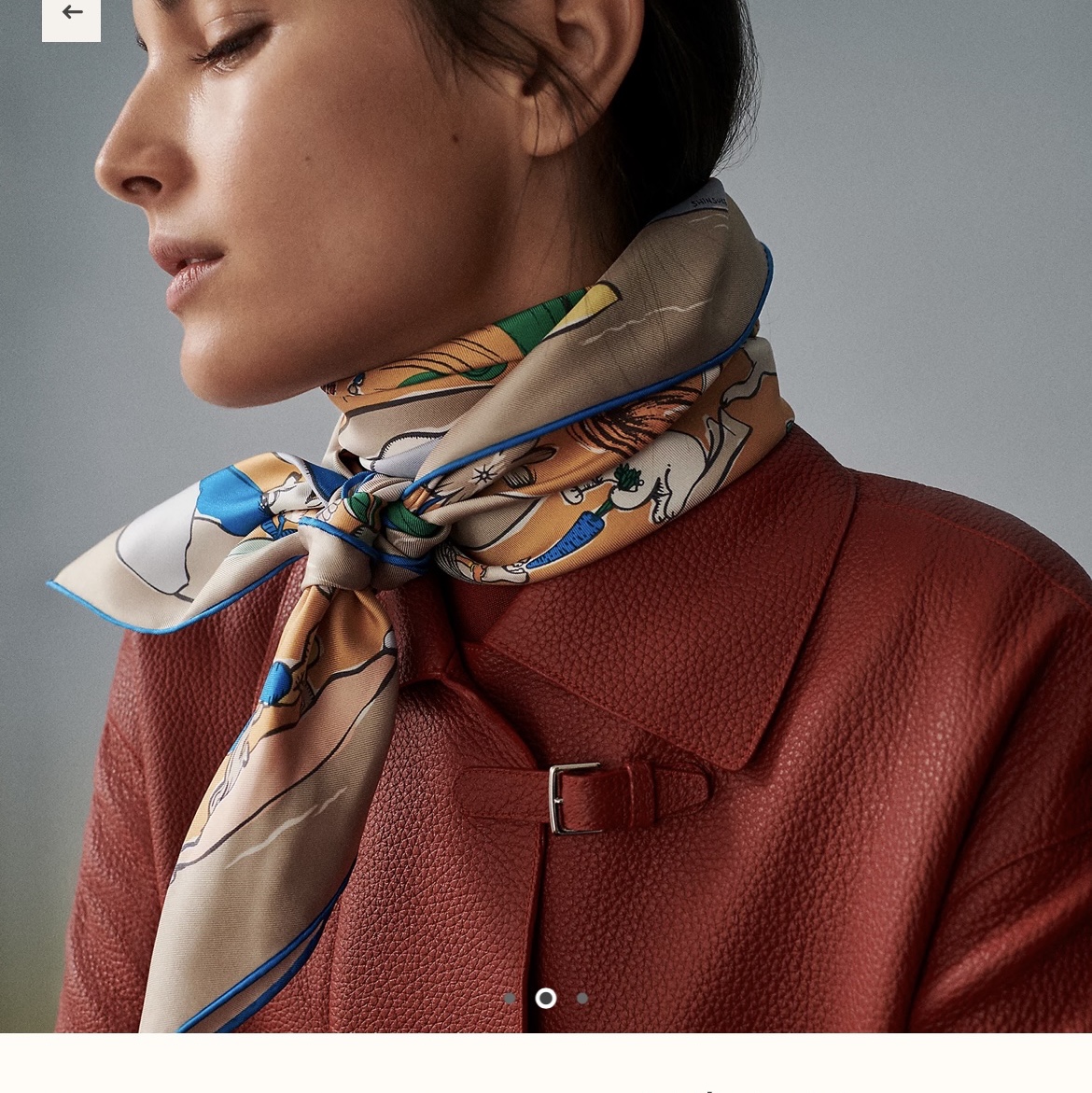 (W) Hermes Mille et Un Lapins Scarf 90 Gris Clair Beige Dore Multicolore 착용 스타일 - 1