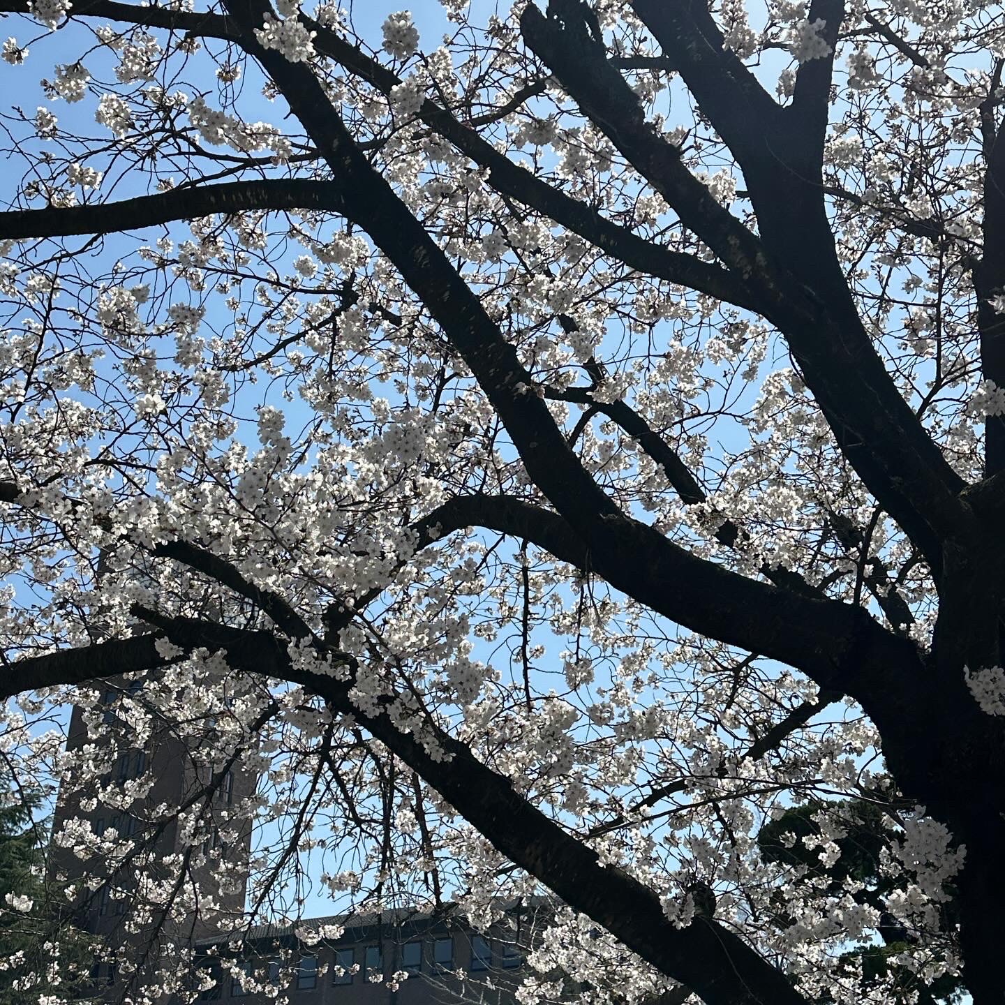 Deus Ex Machina Saber Moto Jersey Black, Oakley Factory Team x Brain Dead Suede Chop Saw Mule Navy Black 착용 스타일 - 2