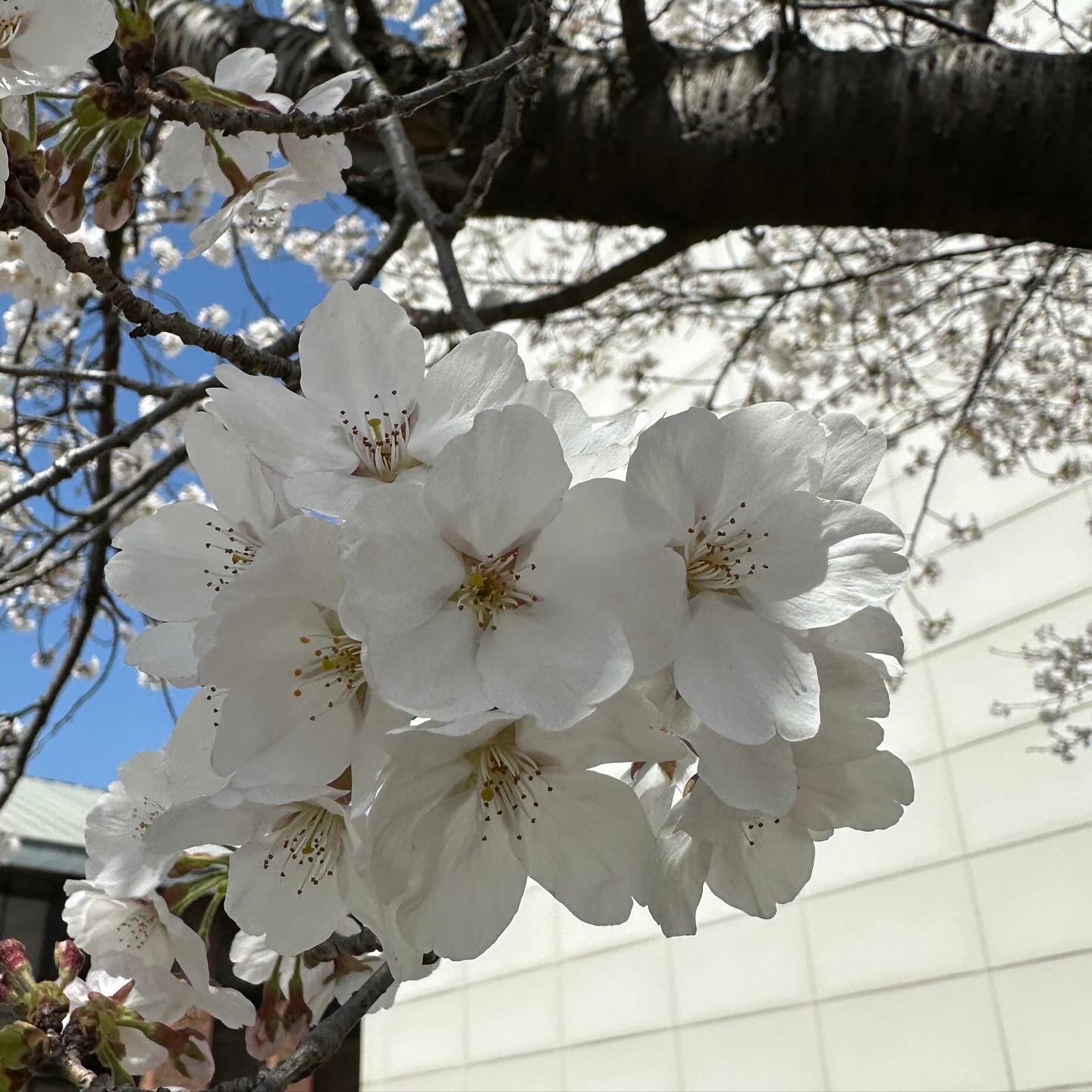 Deus Ex Machina Saber Moto Jersey Black, Oakley Factory Team x Brain Dead Suede Chop Saw Mule Navy Black 착용 스타일 - 3