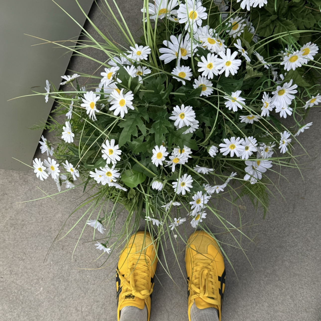 Onitsuka Tiger Mexico 66 Yellow Black 착용 스타일 - 3