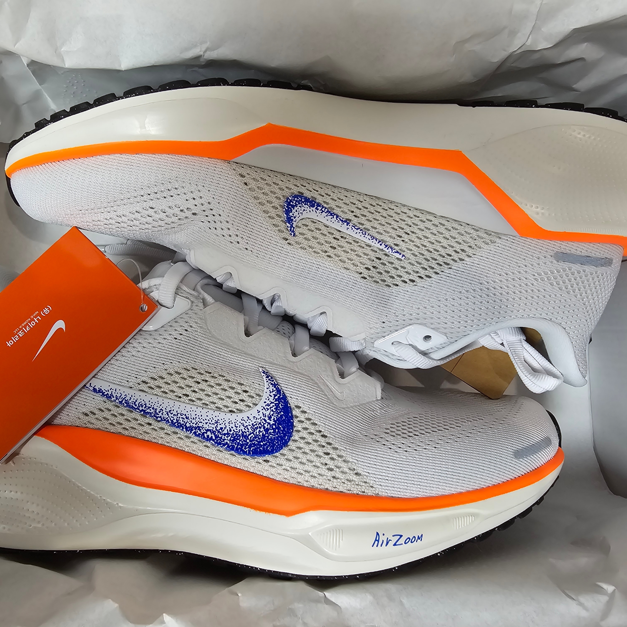 (W) Nike Air Zoom Pegasus 41 Blueprint 착용 스타일 - 1