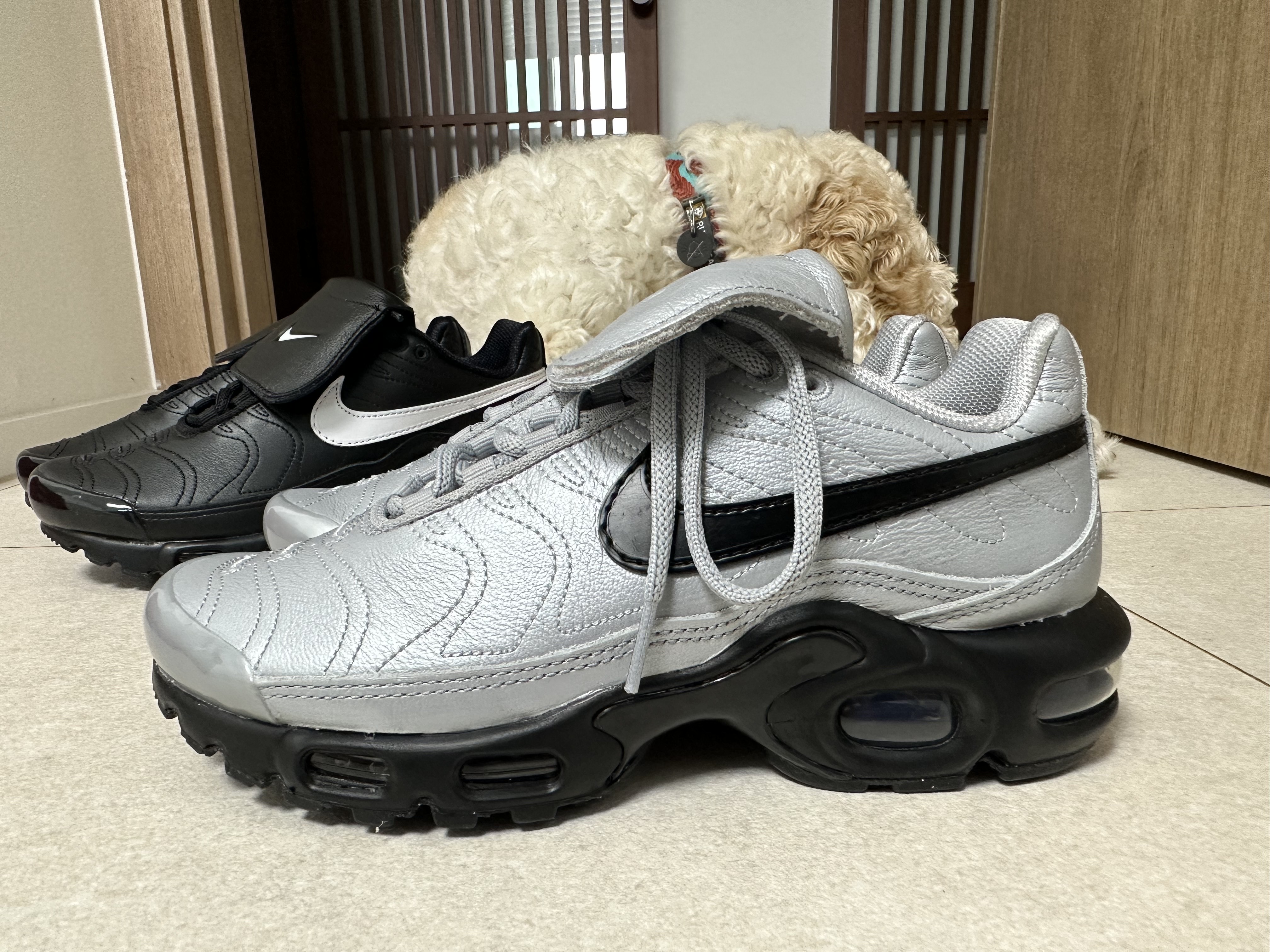 (W) Nike Air Max Plus TNPO Black, Nike Air Max Plus TNPO Wolf Grey and Black 착용 스타일 - 5