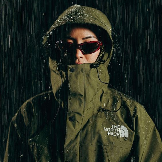 Supreme Gore-Tex Taped Seam Shell Jacket Kermit The Frog - 24SS, Nike ACG Mountain Fly 2 Low Gore-Tex Phantom Dark Smoke Grey 착용 스타일 - 2