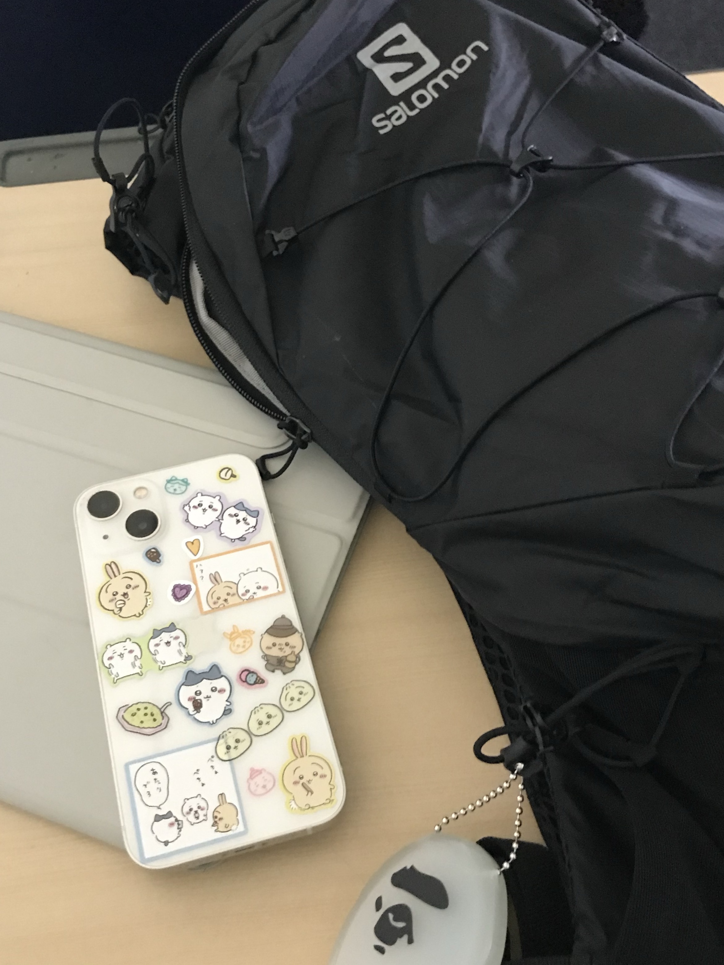 Salomon XT 10 Rucksack Black, BAPE Ape Head Coin Case Silver 착용 스타일 - 1