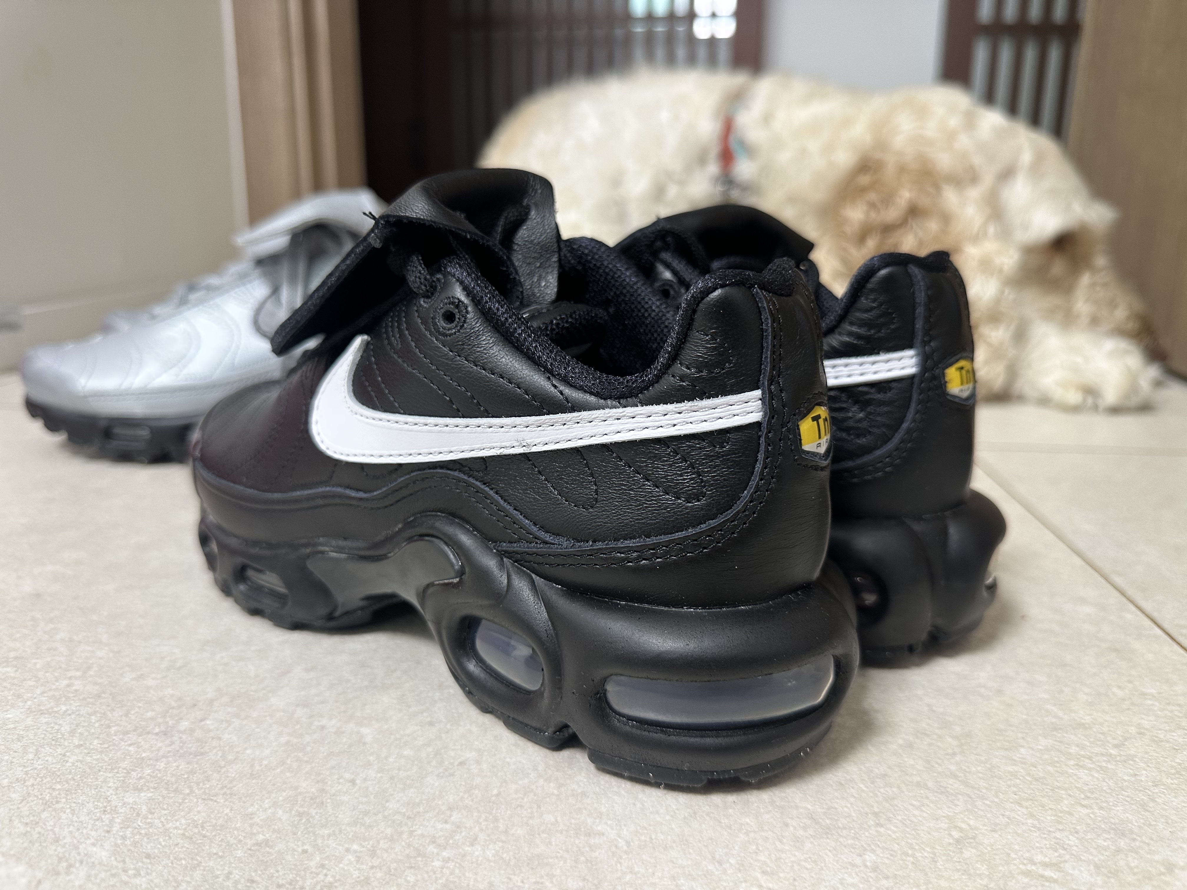 (W) Nike Air Max Plus TNPO Black, Nike Air Max Plus TNPO Wolf Grey and Black 착용 스타일 - 7