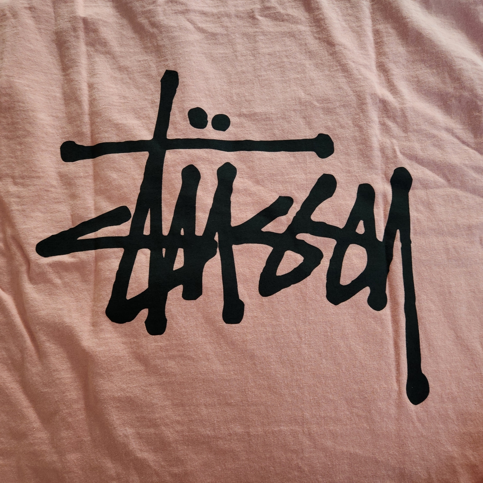 Stussy Basic Stussy Pigment Dyed T-Shirt Coral 2024 착용 스타일