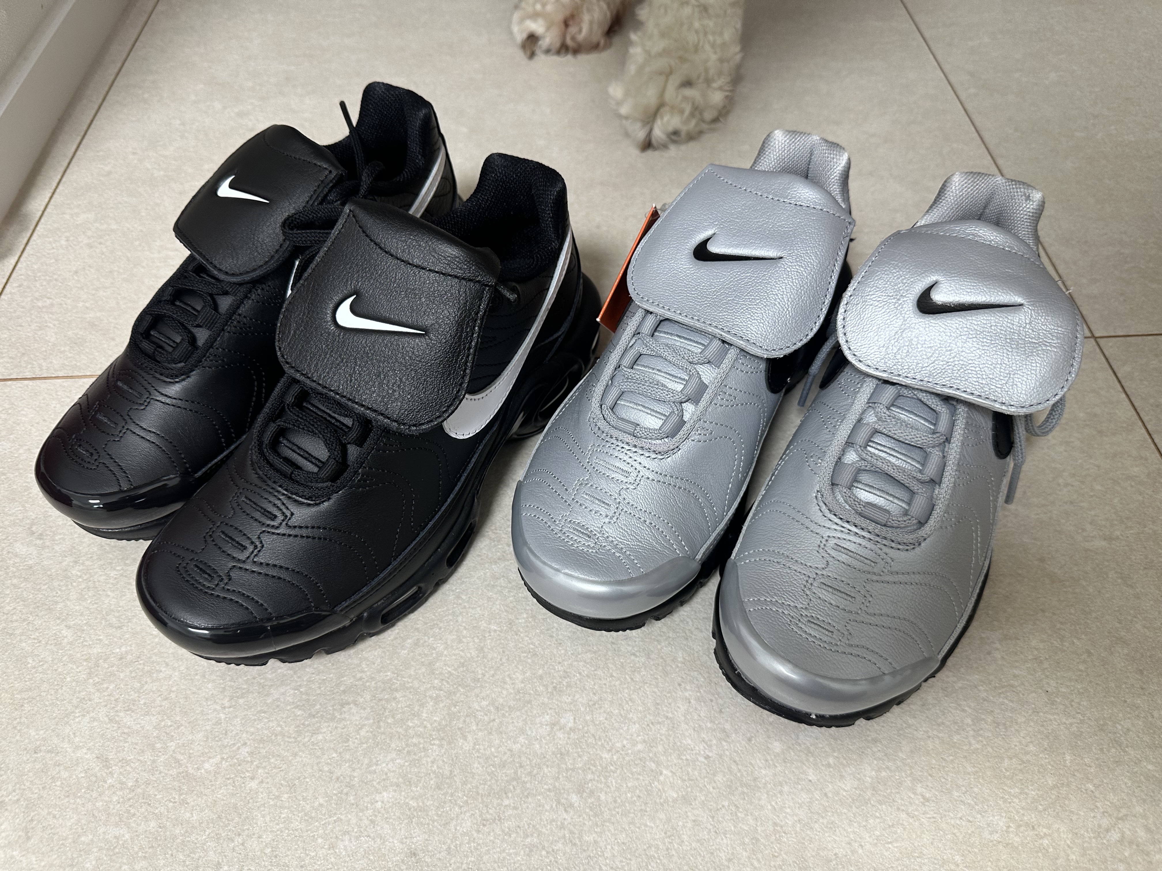(W) Nike Air Max Plus TNPO Black, Nike Air Max Plus TNPO Wolf Grey and Black 착용 스타일 - 4