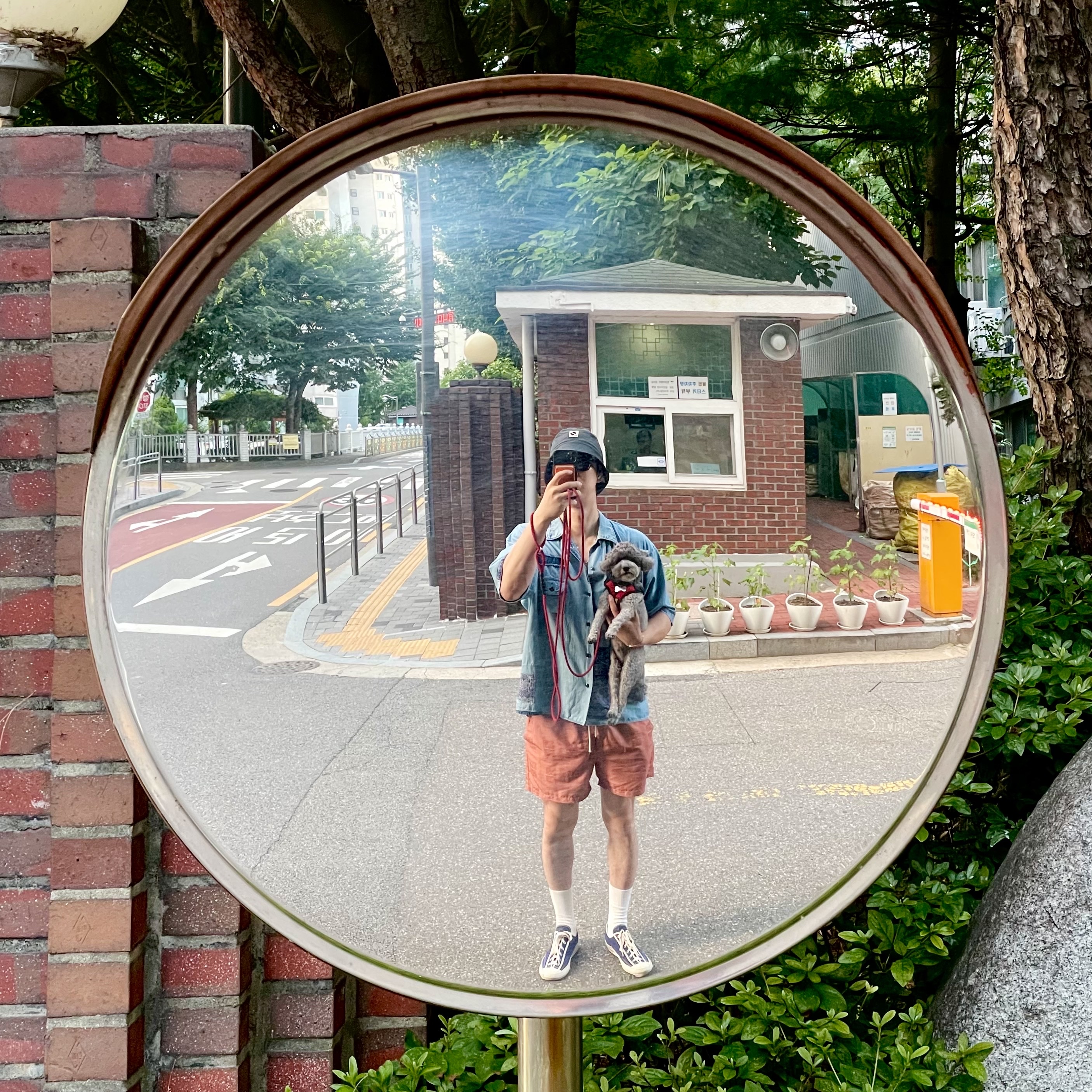 Moonstar Fine Vulcanized Gym Classic Dark Navy 착용 스타일