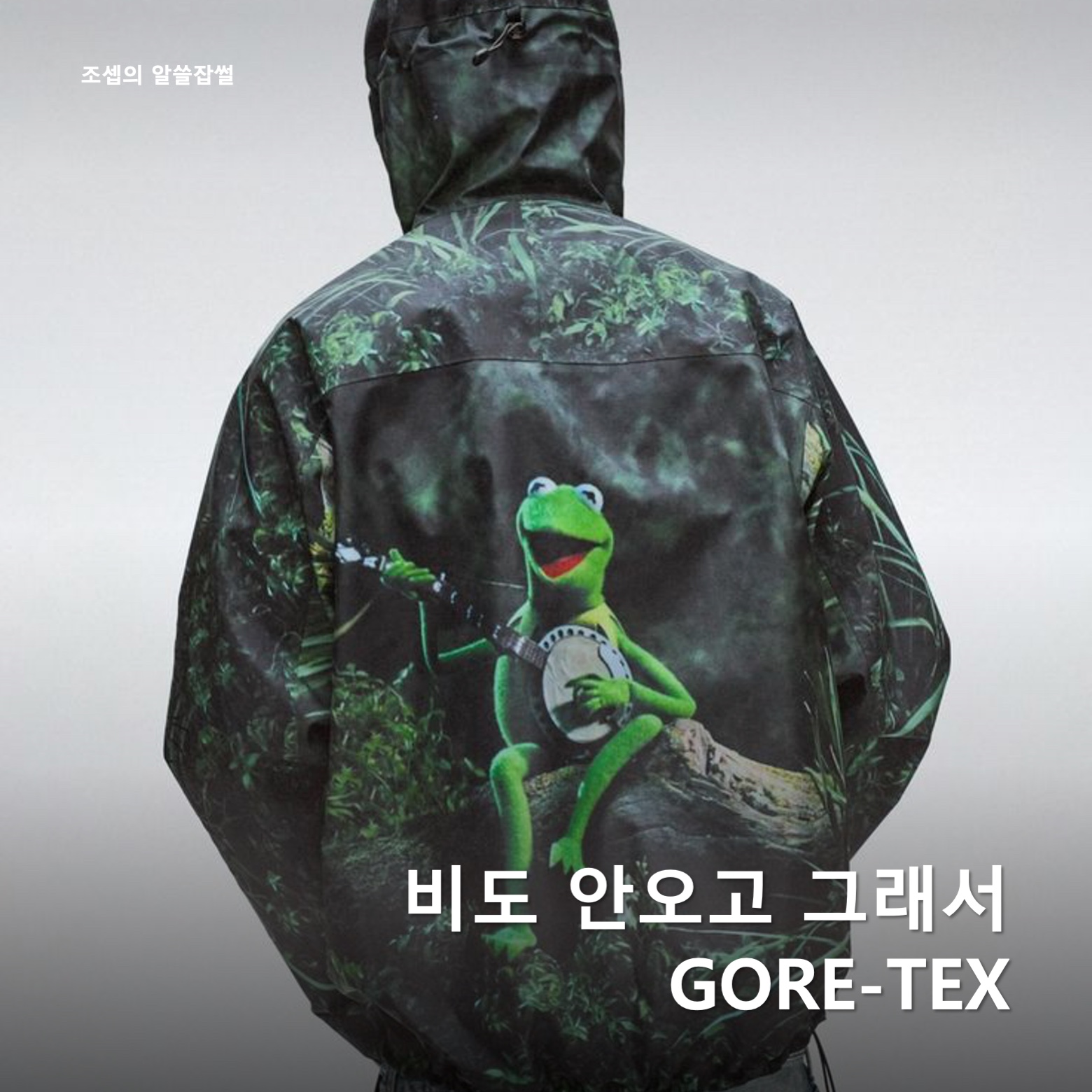 Supreme Gore-Tex Taped Seam Shell Jacket Kermit The Frog - 24SS, Nike ACG Mountain Fly 2 Low Gore-Tex Phantom Dark Smoke Grey 착용 스타일 - 1